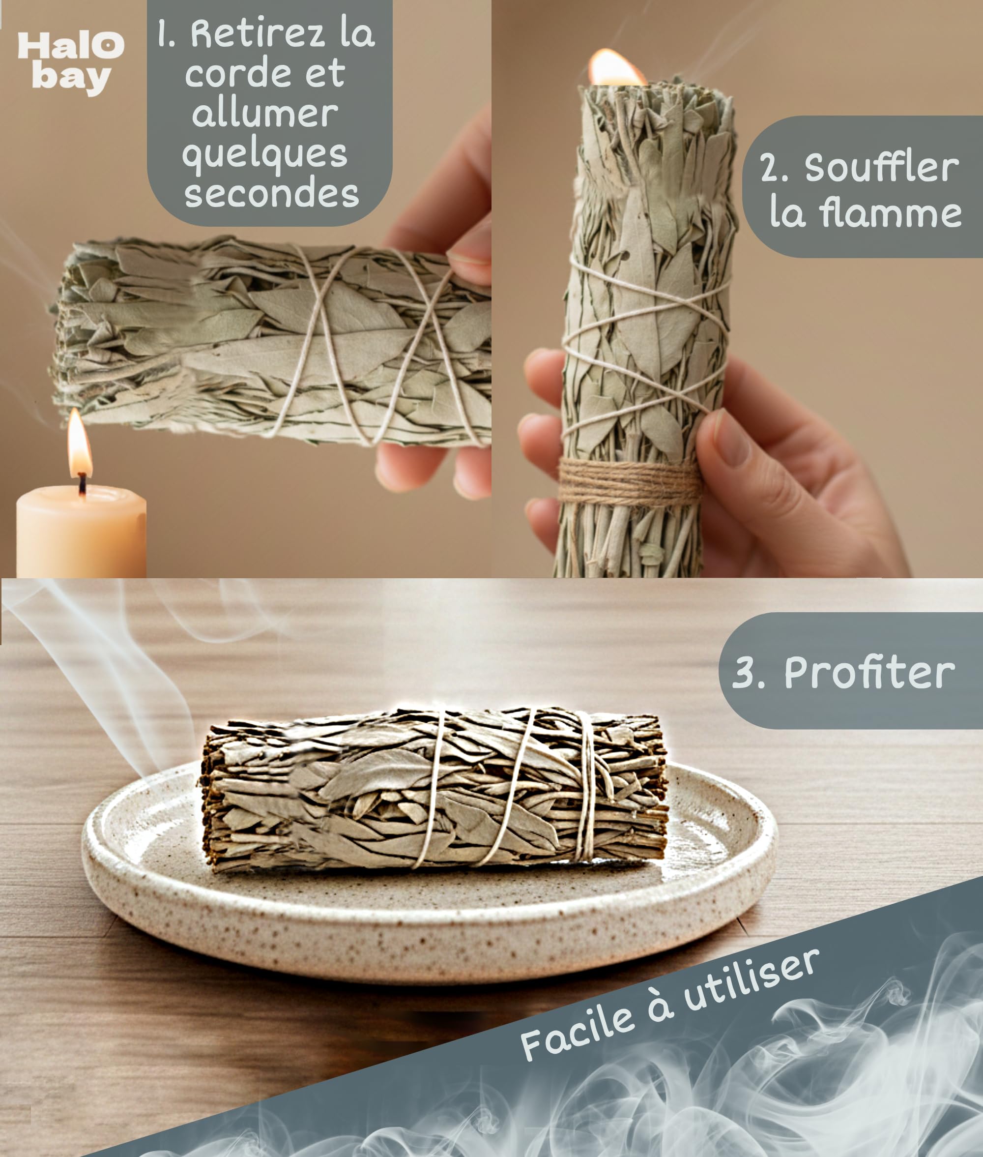 Sauge Blanche Bâton Encens Purification Naturel 10cm Rituel Méditation Yoga Salvia Apiana