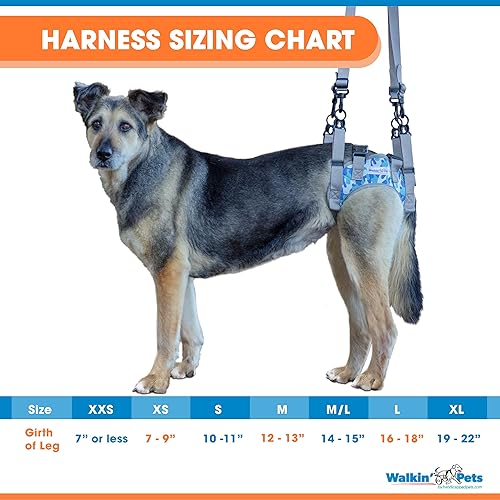 Miniatura 2 de Walkin' Warrior - Arnés trasero para perro para movilidad, asas ajustables, arnés para perros mayores y mascotas que se recuperan de una cirugía