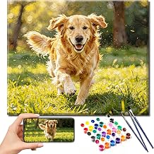 Custom Paint by Numbers from Photo, Personalized Paint by Number Kits