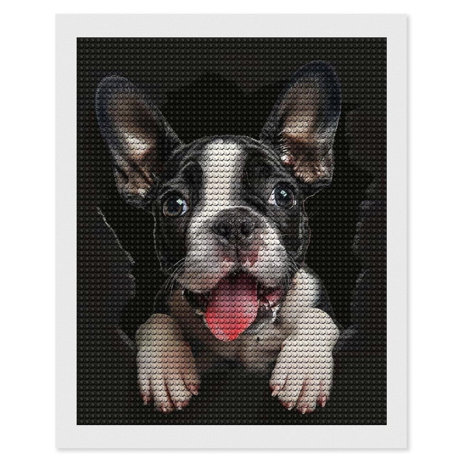 Junmoney Boston Terrier DIY Diamond Art Canvas Kit 16"x20", for Adults, Decorate Your Room, Gift Idea, Modern Decor, Finish and Display