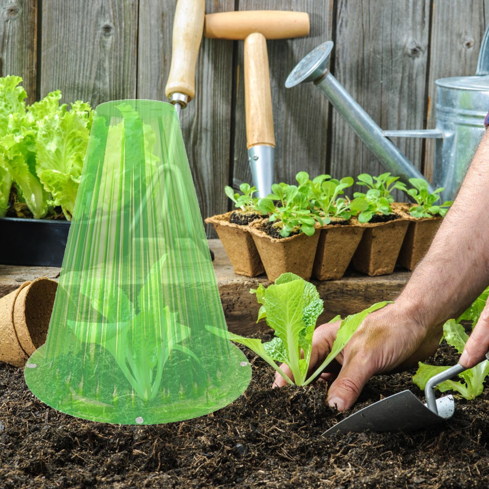 20 -fache Gartenpflanzen Cloches, wiederverwendbare transparente Glockengläser mit Vent - kleines Gewächshaus zum Schutz gegen Sonne, Einfrieren, Vögel, Hühner, Insekten, Schnecken usw.