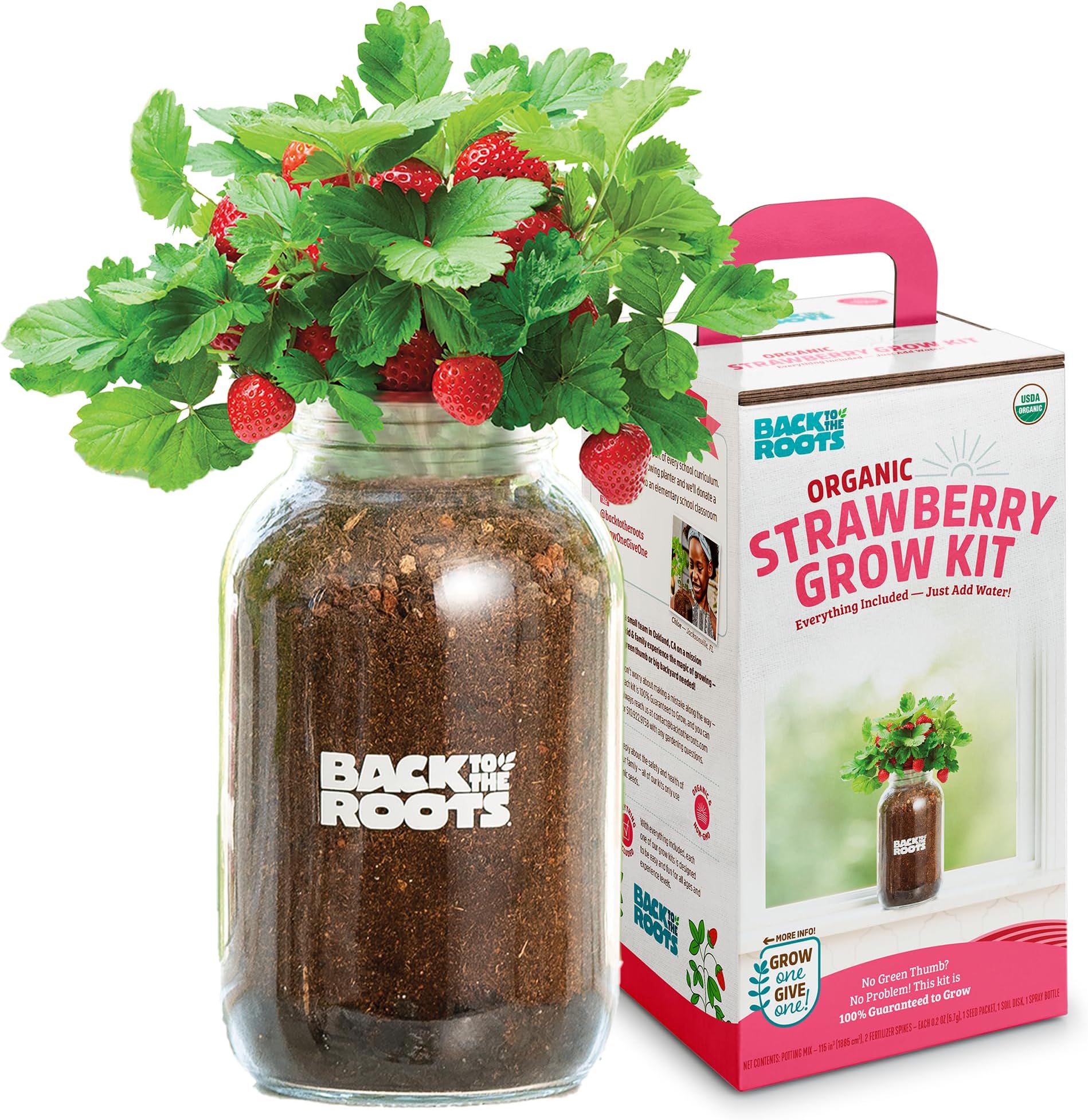 Back to the Roots Organic Strawberry Grow Kit — Grows Year Round, Includes Ev...