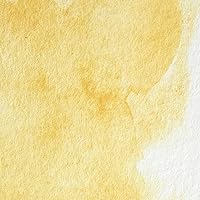 Vista 88 de Winsor & Newton - Pintura para acuarela profesional