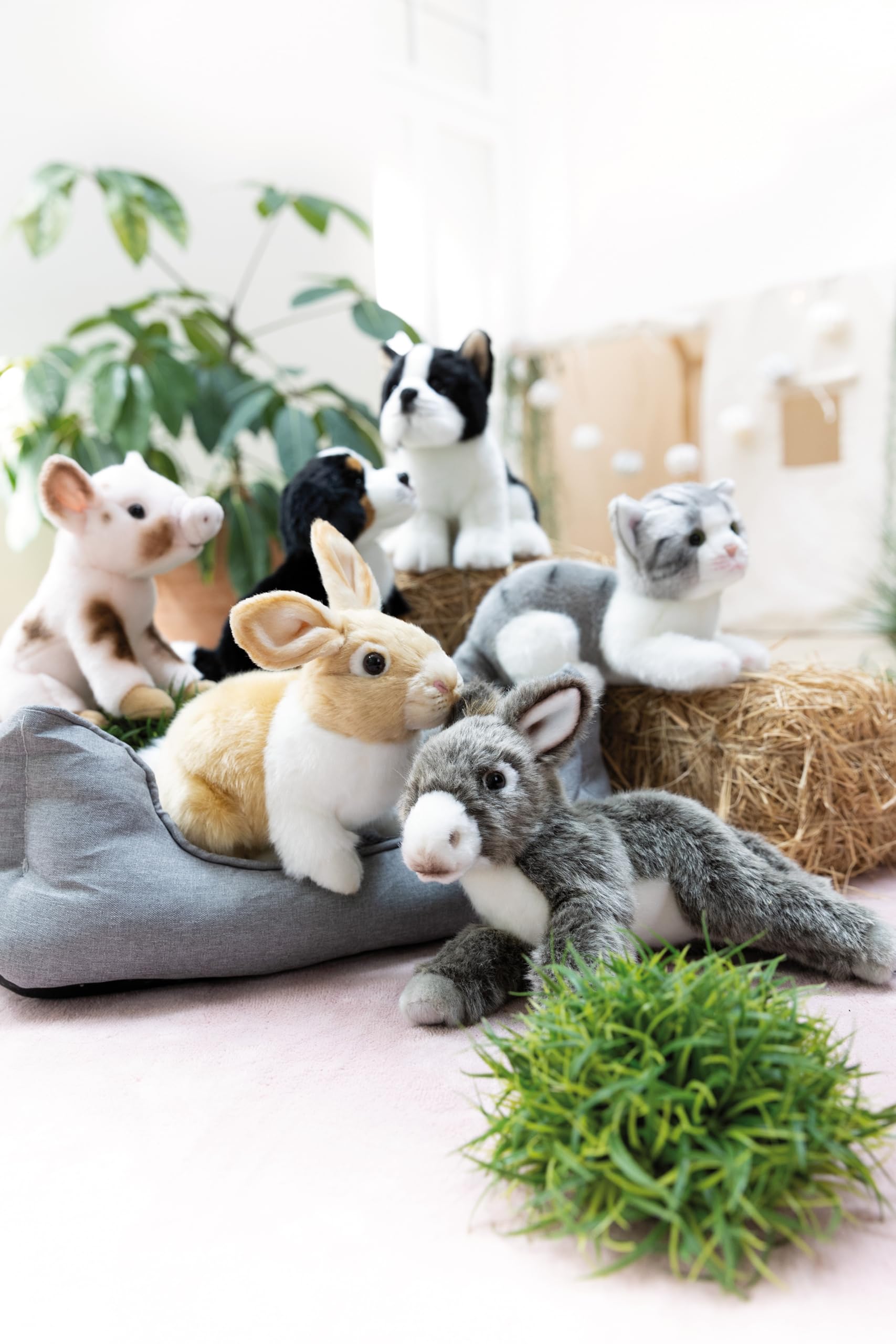 NICI Knuffeldier, gelukskat, 20 cm, bruin, zacht pluchen dier, schattig knuffeldier om te knuffelen en te spelen, geweldig cadeau-idee voor kinderen en volwassenen - 62138