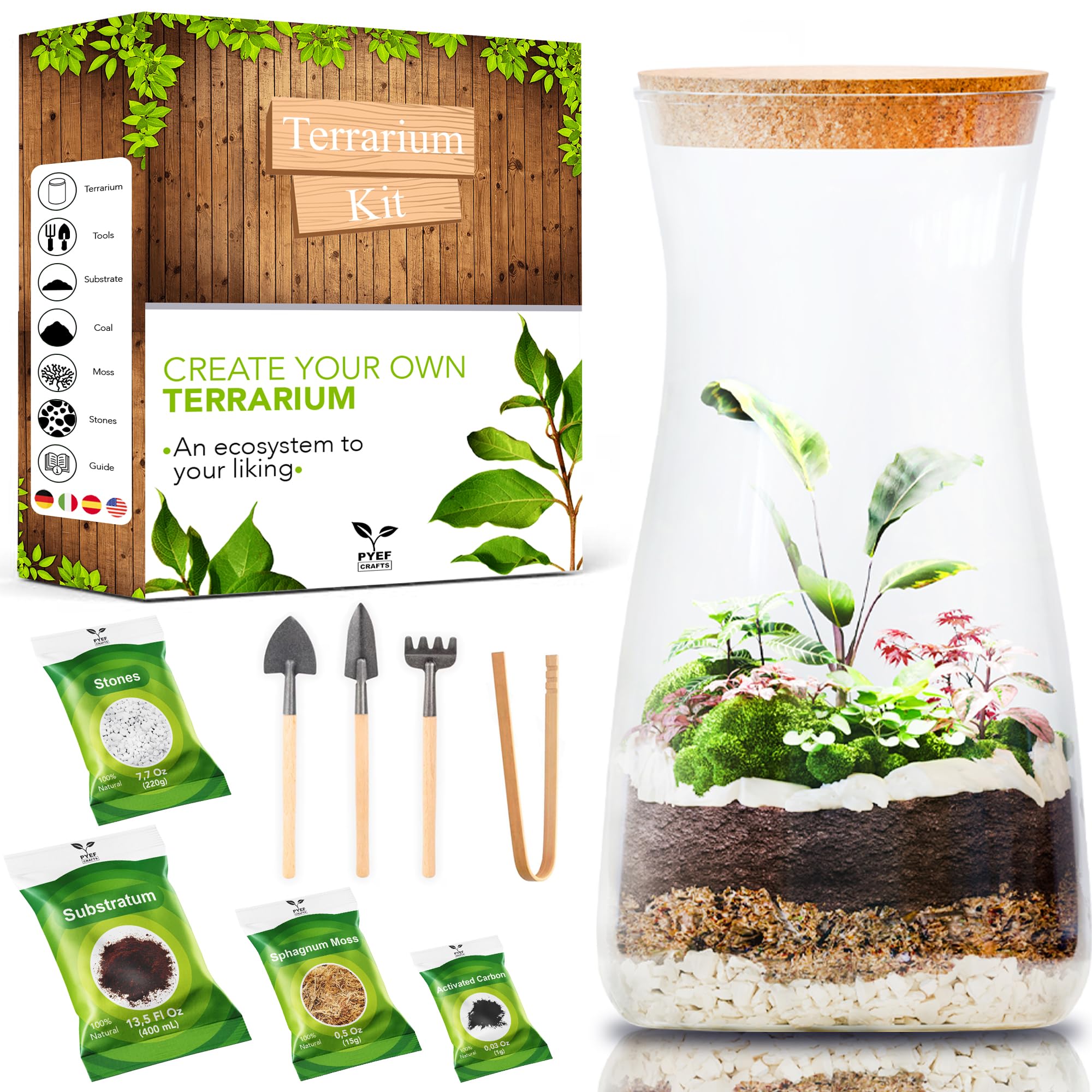 Complete set voor het creëren van een ecosysteem in glas, terrarium, starterset voor het aanleggen van een biotoop in glas, ain-plant (kit met fles)