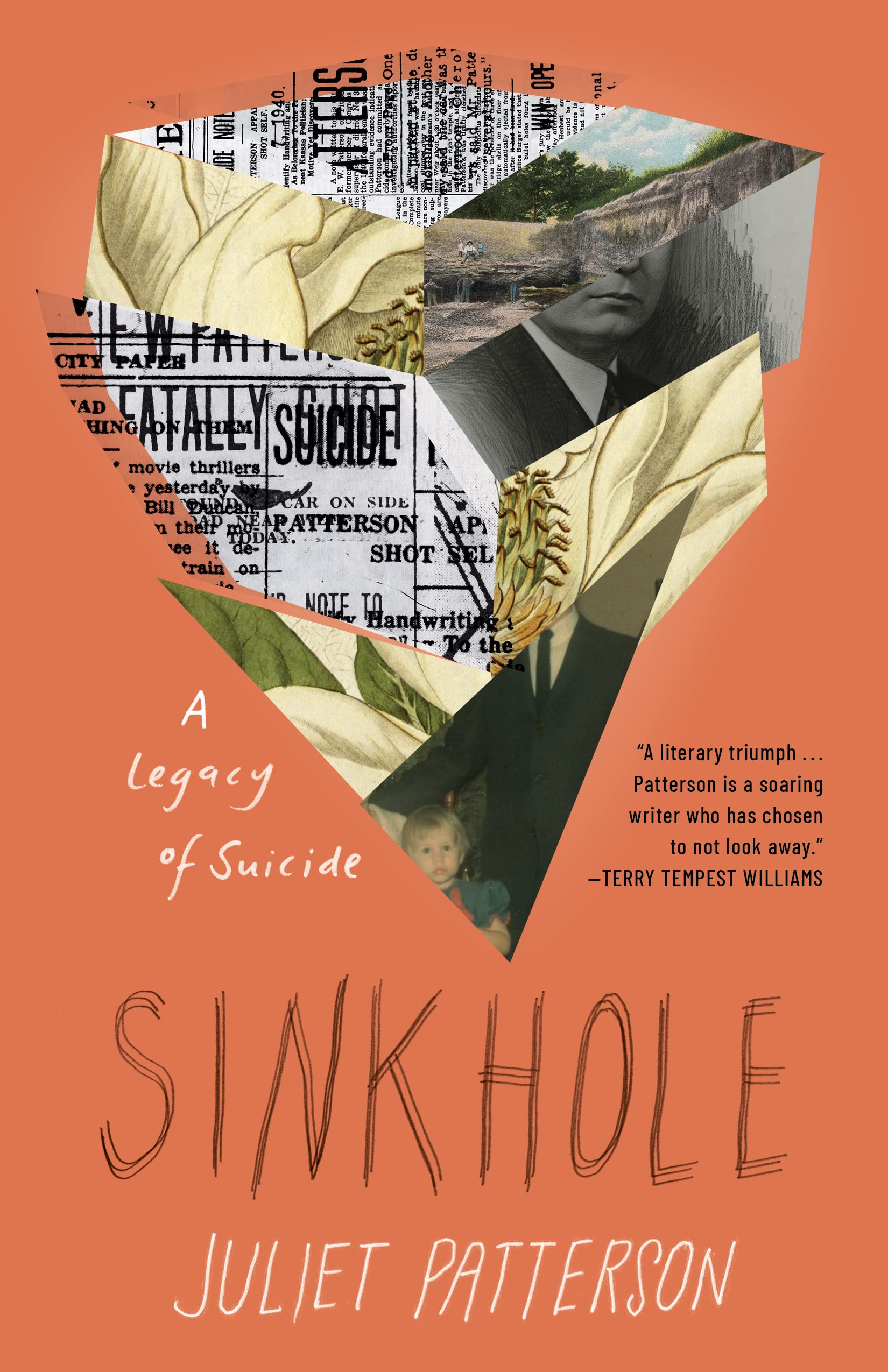 Buy Sinkhole: A Natural History of a Suicide — BookShops.in