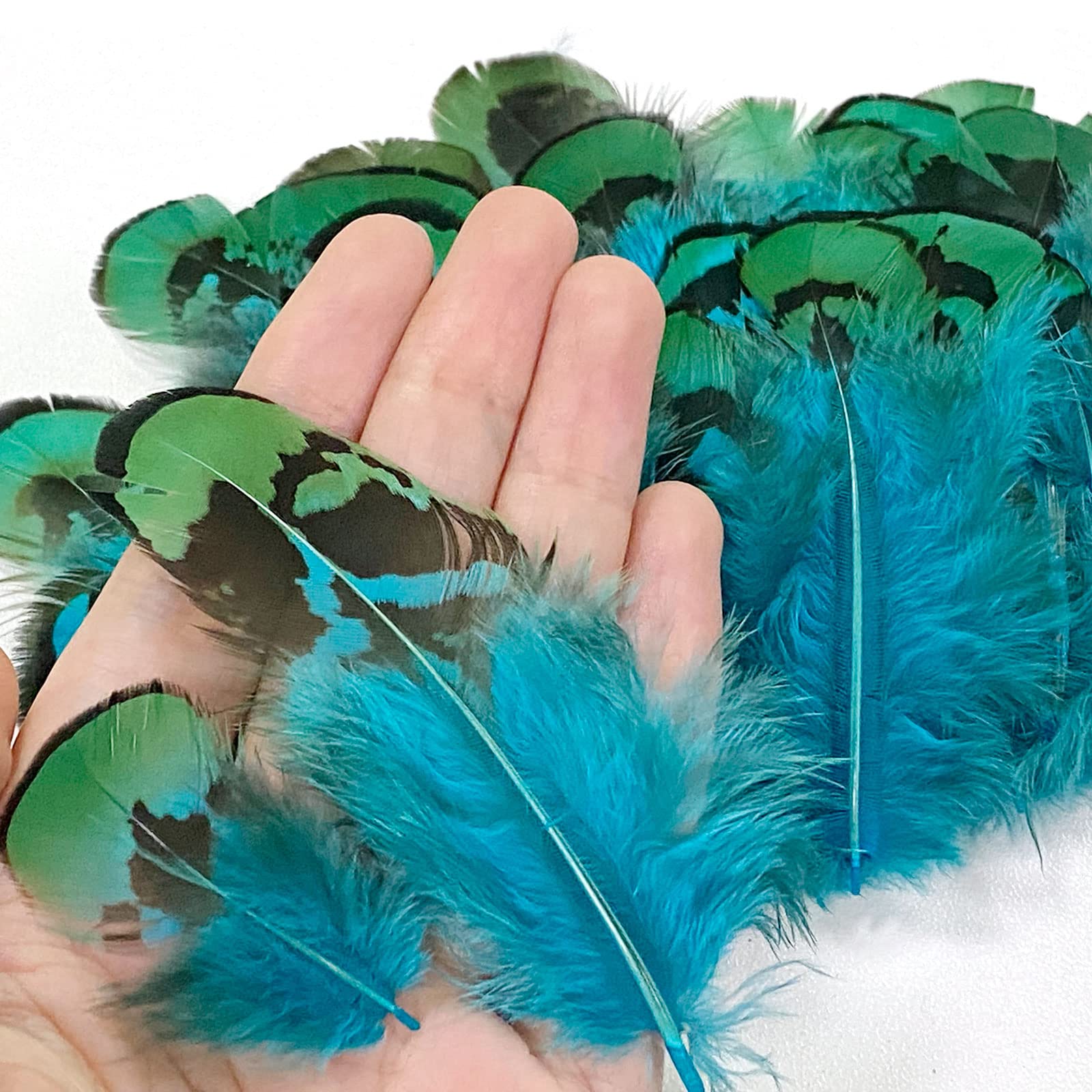 Tuxuzal Lot de 150 plumes de faisan - Décorations de plumes artificielles pour attrape-rêves - Faisan - Plumes de queue - Bricolage - Plumes décoratives Tuxuzal Lot de 150 plumes de faisan - Décorations de plumes artificielles pour attrape-rêves - Faisan - Plumes de queue - Bricolage - Plumes décoratives