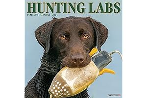 2024 Hunting Labs Calendar
