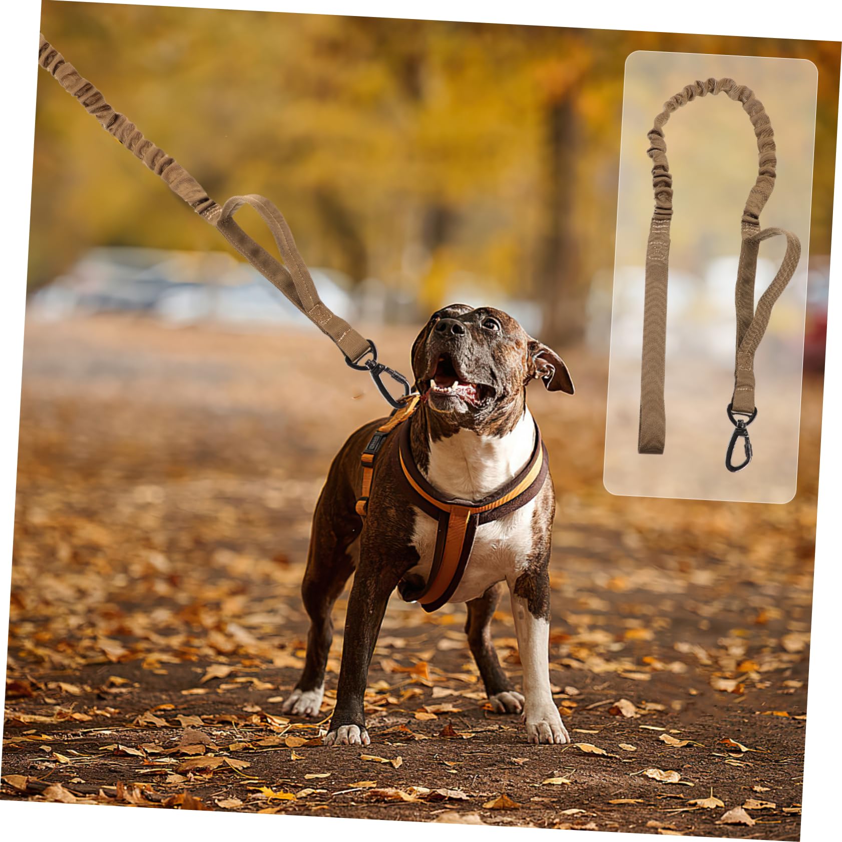 Kisangel 3pièces Laisse De Dressage pour Chien Nylon Élastique Réglable Parfaite pour Promenades Activités Extérieur