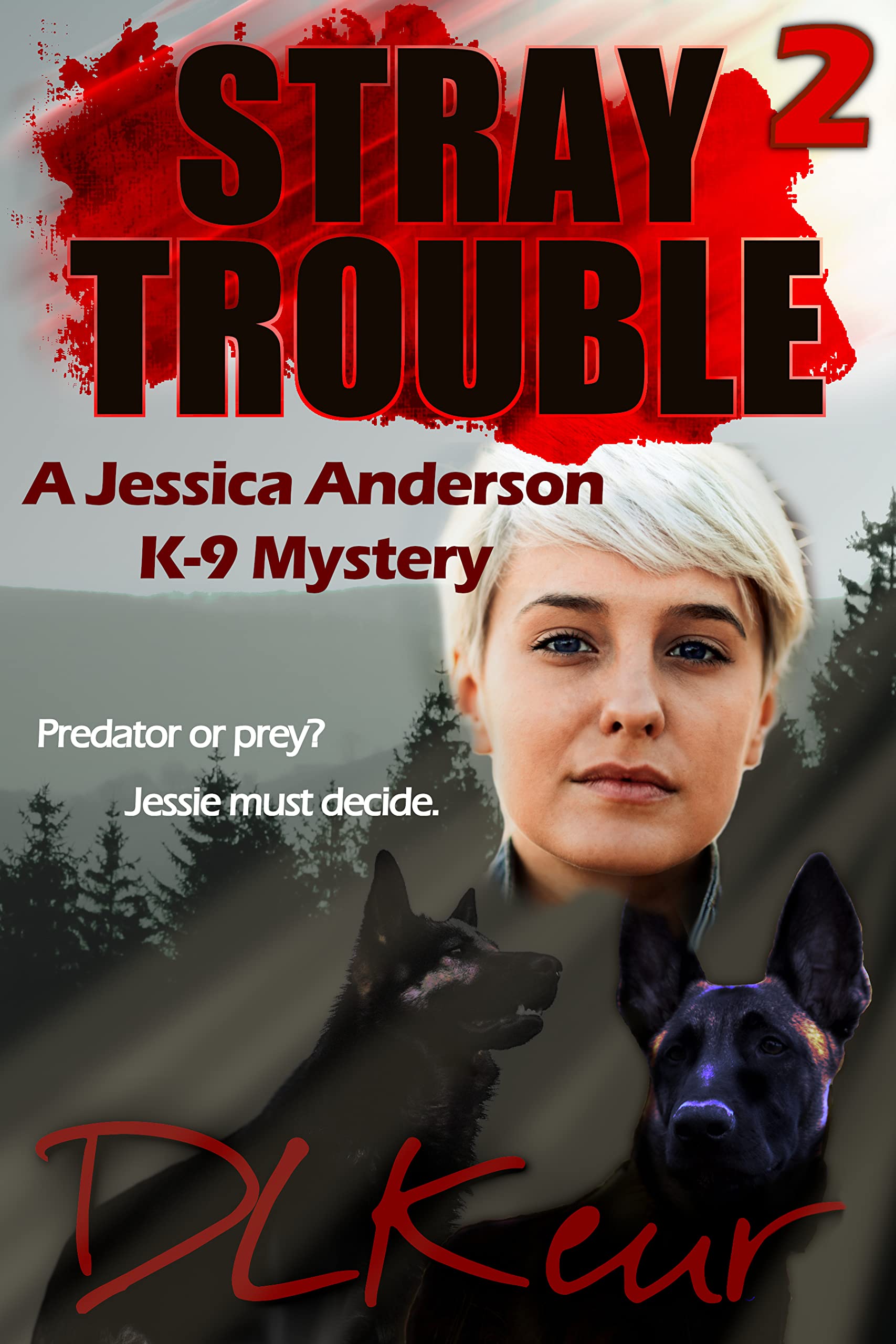 Stray Trouble: A Jessica Anderson K-9 Mystery (The Jessica Anderson K-9 Mysteries Book 2)