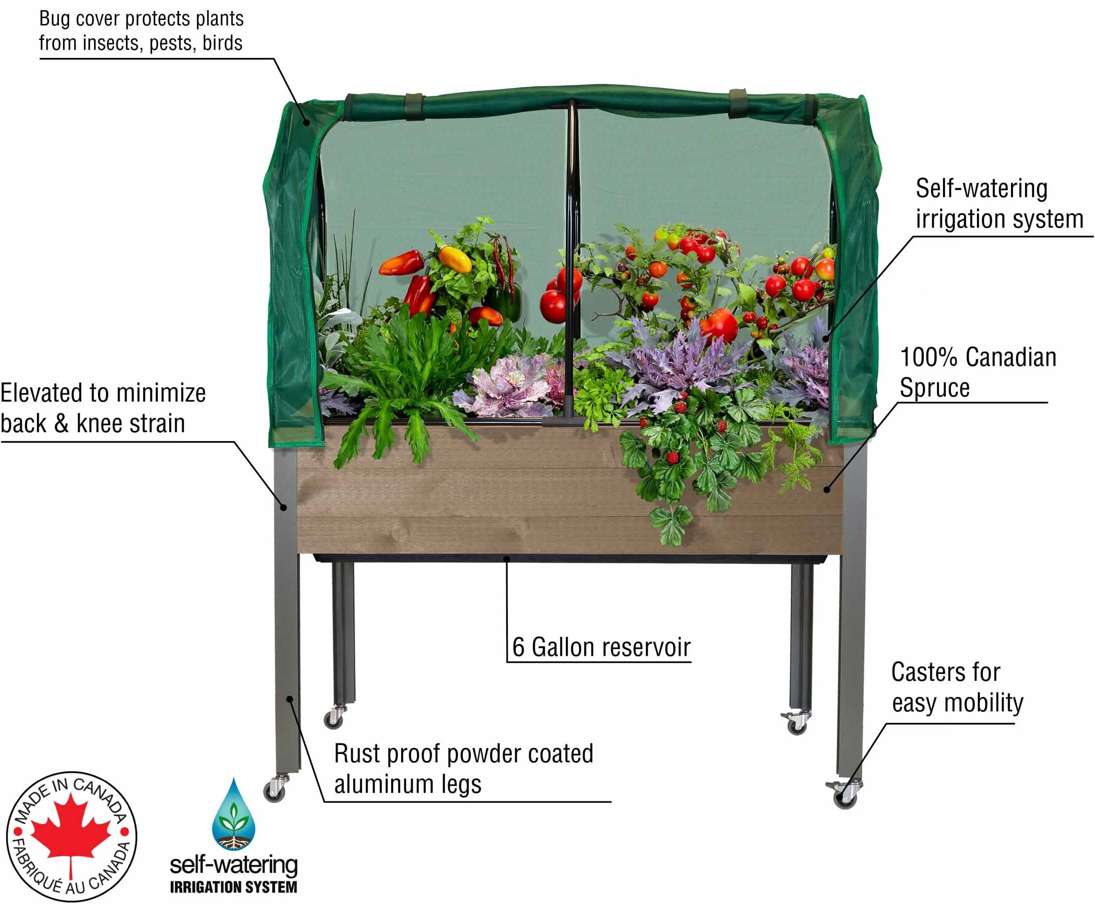 Amazon.com: CedarCraft Self-Watering Raised Garden Bed (21" x 47" x 32"H)  with Greenhouse & Bug Combo Cover - The Flexibility of Container Gardening  with The Convenience of a self-Watering Irrigation System :