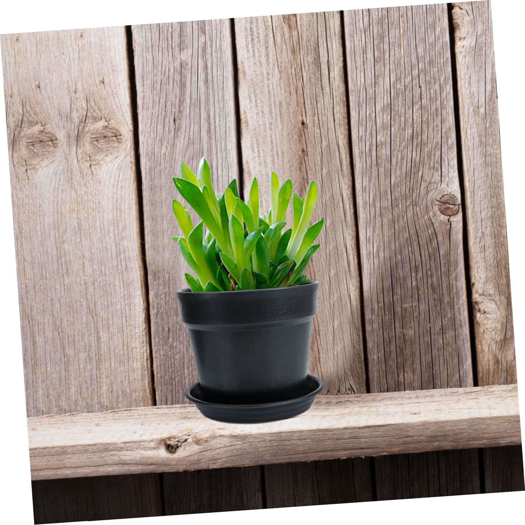 KONTONTY Keramiktablett Für Pflanzen - Stylischer Untersetzer In Light Brown