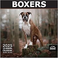 Vista 17 de MICASA PRESS Corgi Butts - Calendario de pared 2026 de 12 meses 12 x 24 pulgadas abierto Papel grueso y resistente Regalo de vacaciones