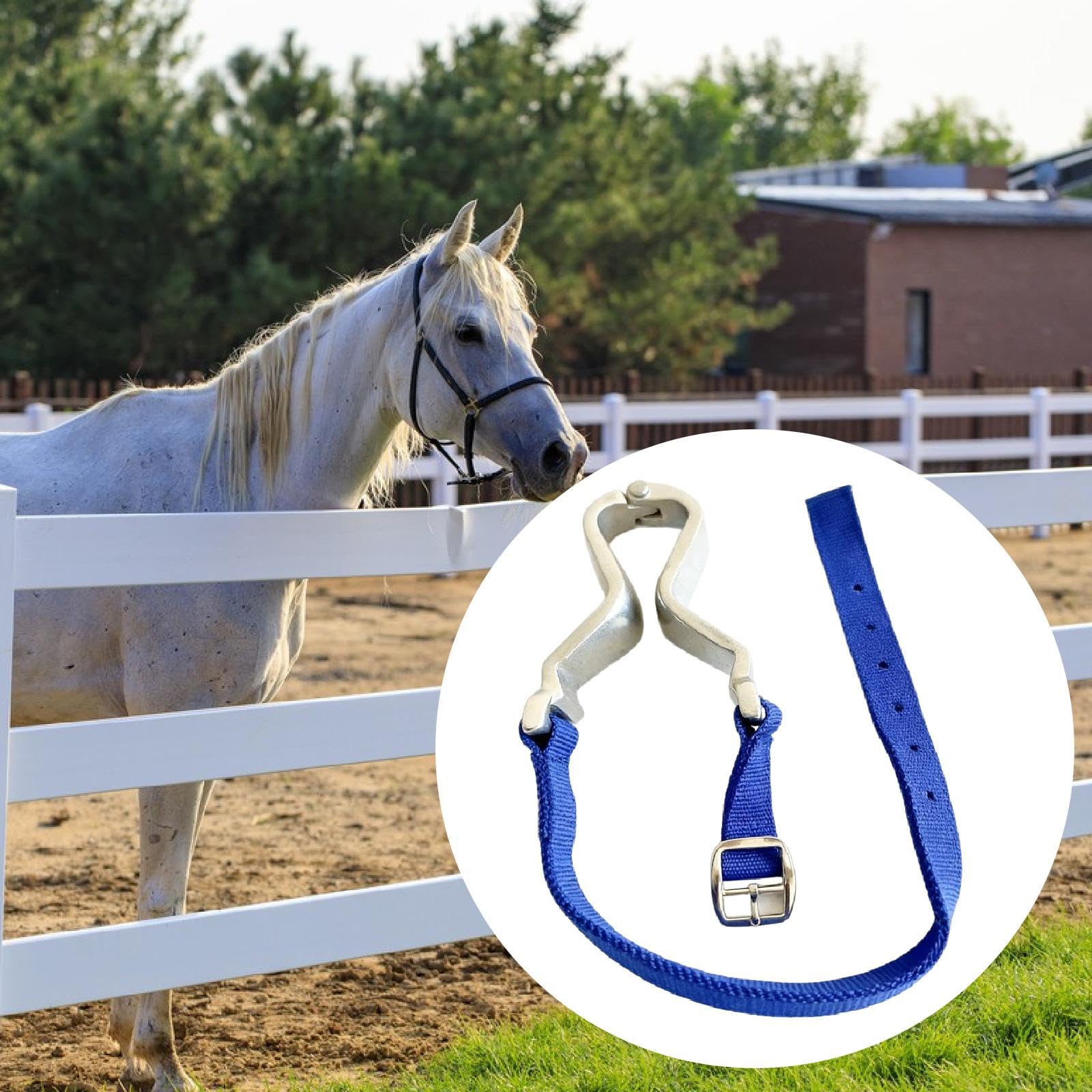 Équipement de Maintien de la pour Chevaux, Accessoire équestre Ergonomique et Portable, Outil de Soin pour Le Travail à Pied et Le Travail en