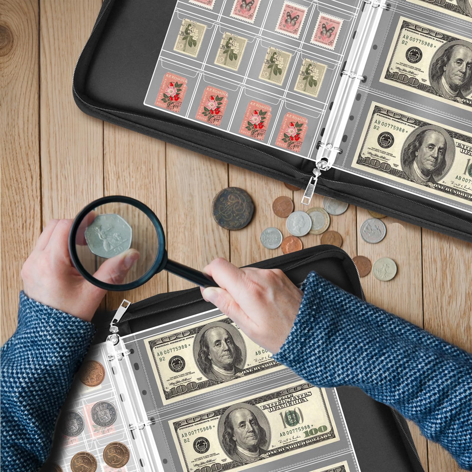 Ignífugo Album Monedas de 2 euros, Monedas Coleccion con 24 Páginas para 300 Monedas y 36 Billetes de Euros, Dólares, Libras Esterlinas y Peniques (Negro)