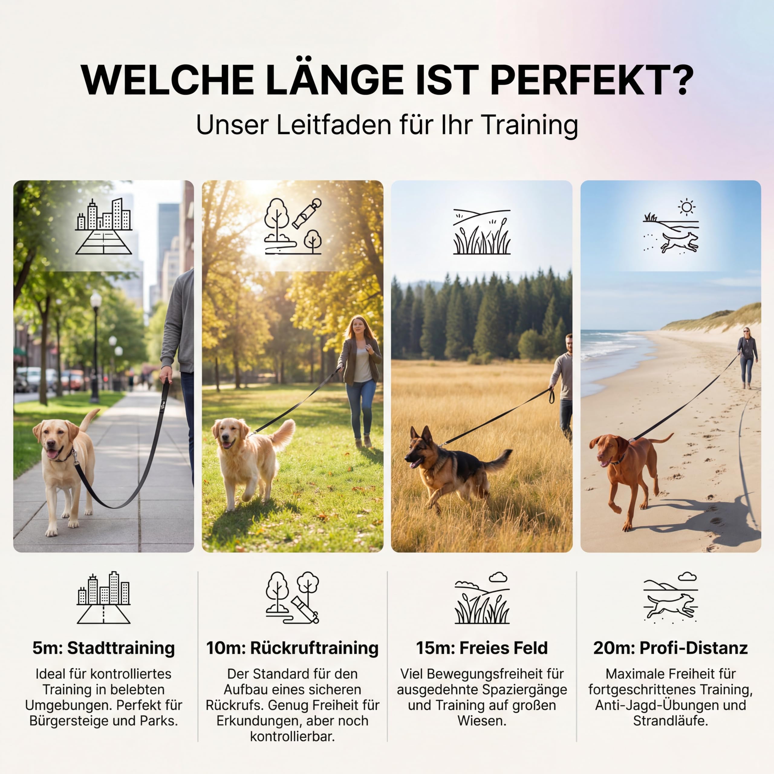 HUND IST KÖNIG Schleppleine 10m für Hunde 12-70kg - Lange robuste Hundeleine mit Griffpolster & Sicherheitskarabiner - Trainingsleine + eBook, Hundeleine 5m, 10m, 15m, 20m