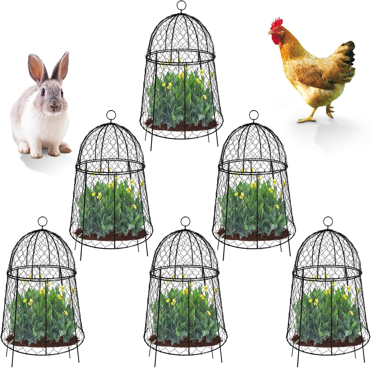 Large Garden Plants Protectors from Animals, Chicken Wire
