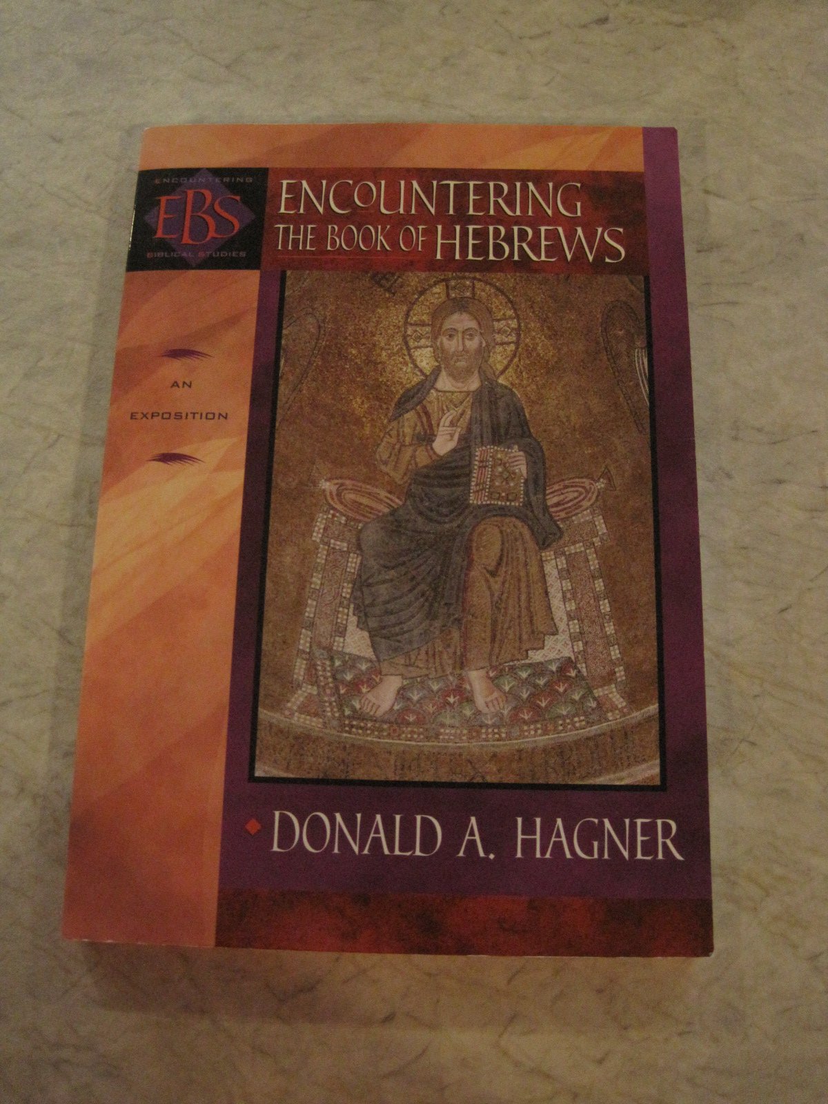 Encountering the Book of Hebrews: An Exposition (Encountering Biblical Studies)