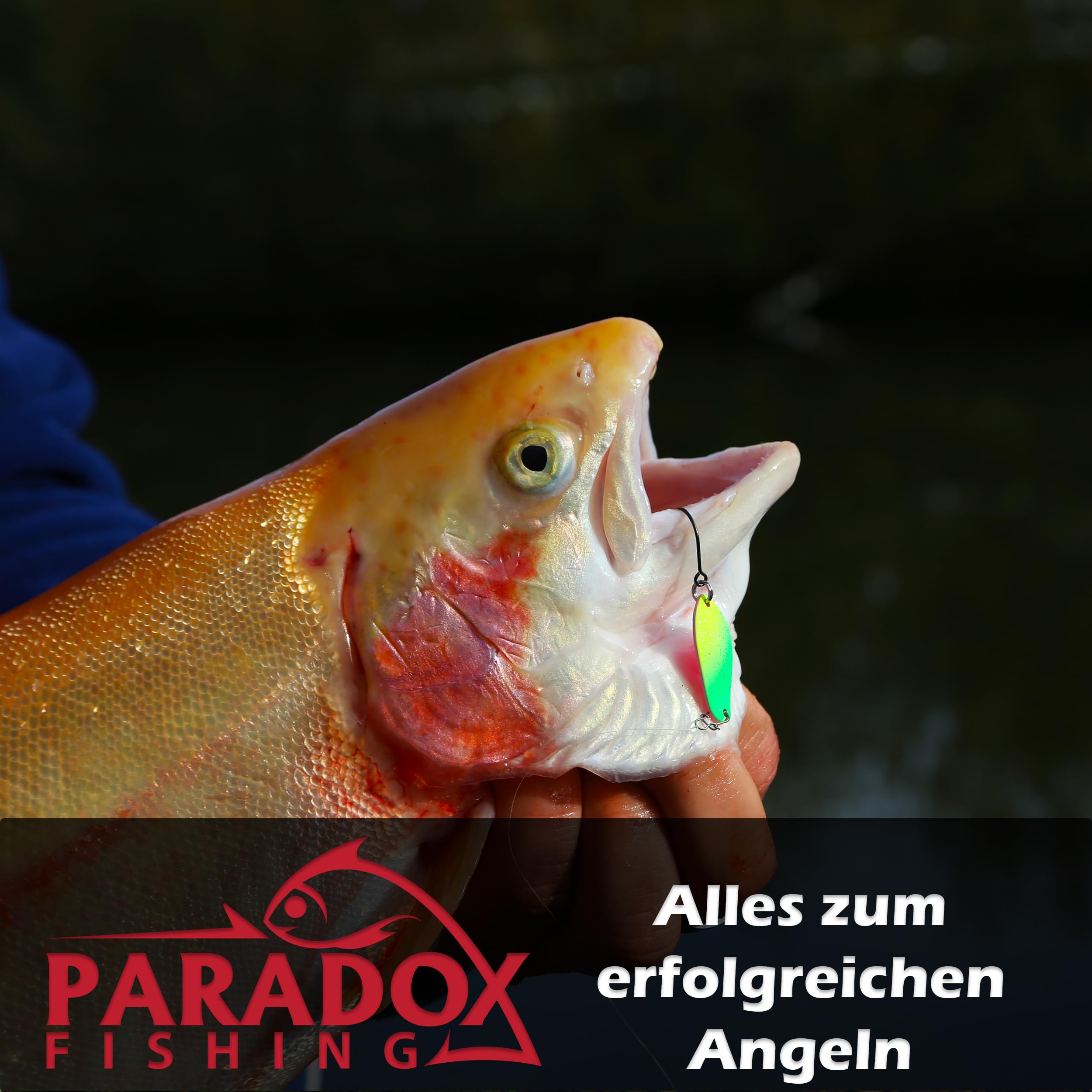 Paradox Fishing Retino per trote, 1,9 m, per laghetto trota, rete in gomma trasparente per un minimo effetto abrasivo, retino telescopico delicato sui pesci, 50 x 45 x 45 cm, testa rimovibile e manico