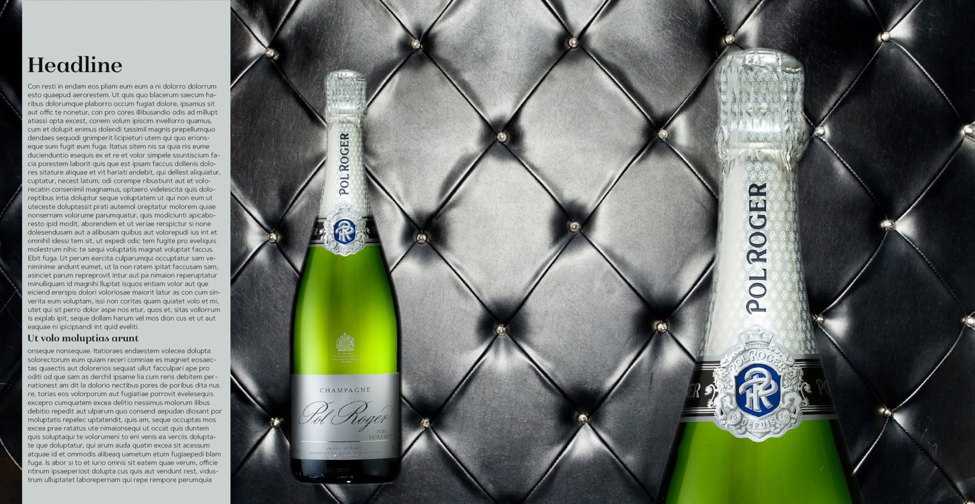 Champagner: Die 100 wichtigsten Maisons, Winzer und Kooperativen - Ausgezeichnet mit dem Deutschen Kochbuchpreis Gold 2021