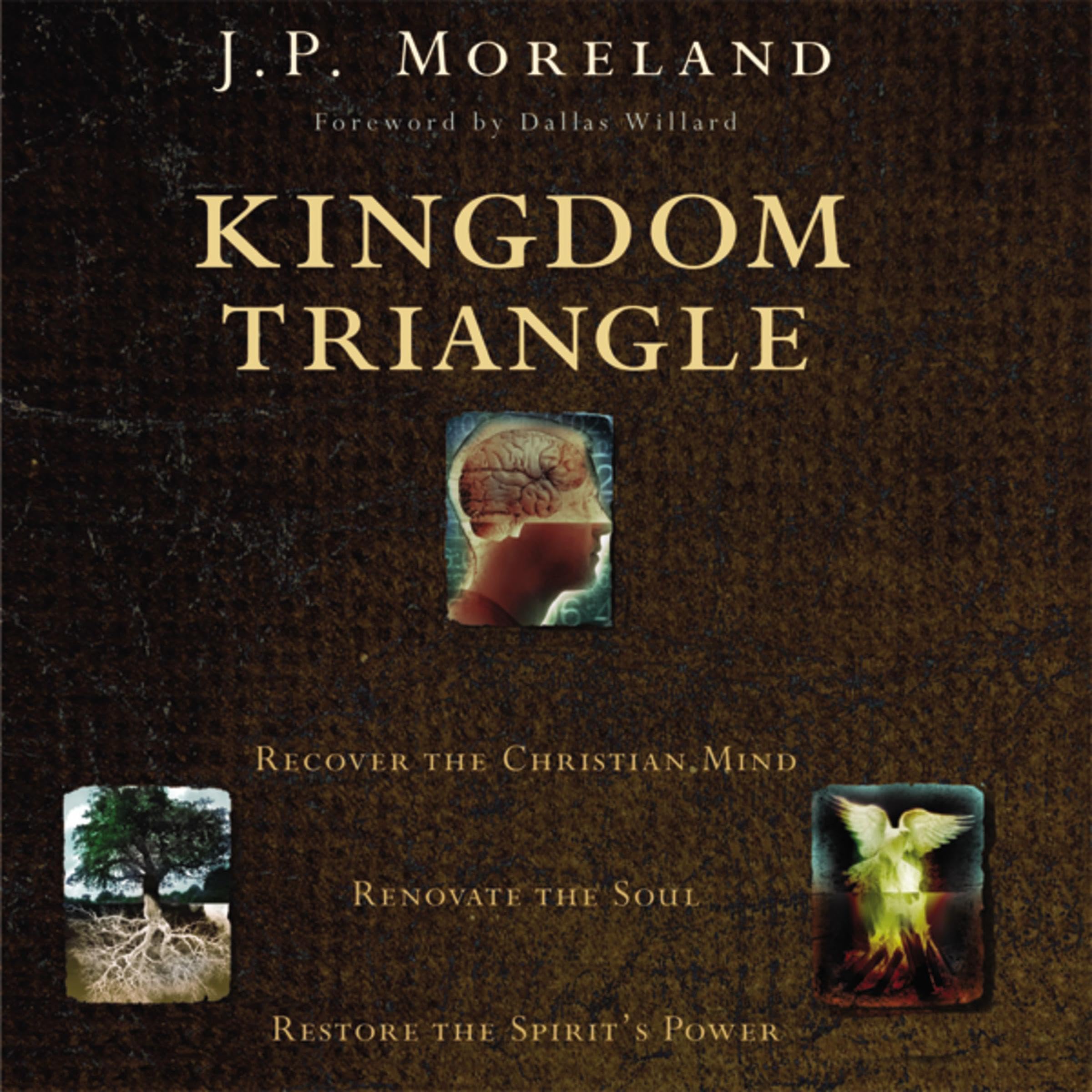 Cover art for Kingdom Triangle