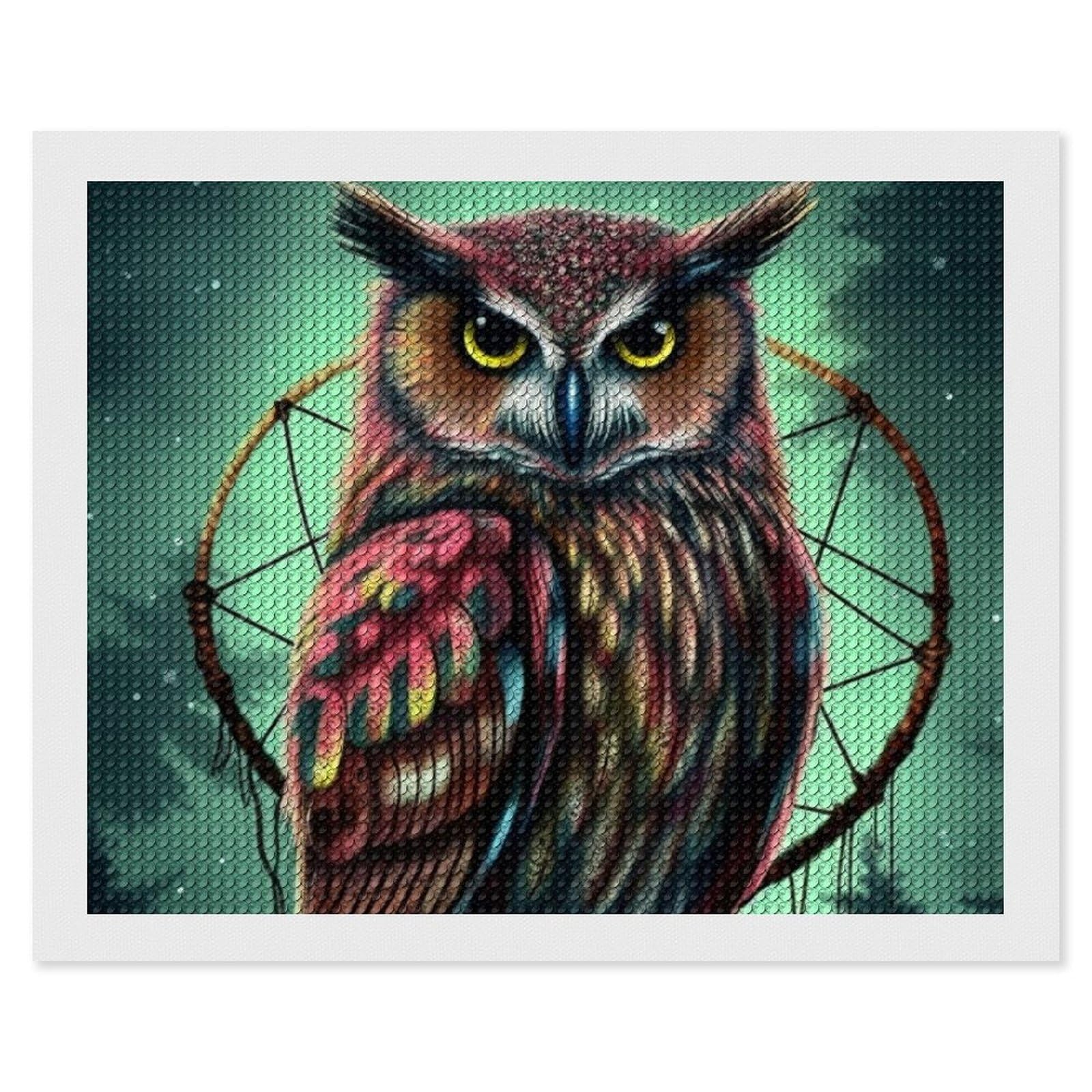 Owl Diamond Art Kits for Adults, DIY 5D Diamonds Painting Kits for Beginner, Round Full Drill Diamond Dots Painting, 16"x20" Diamonds Pictures Gem Art and Crafts Wall Decor
