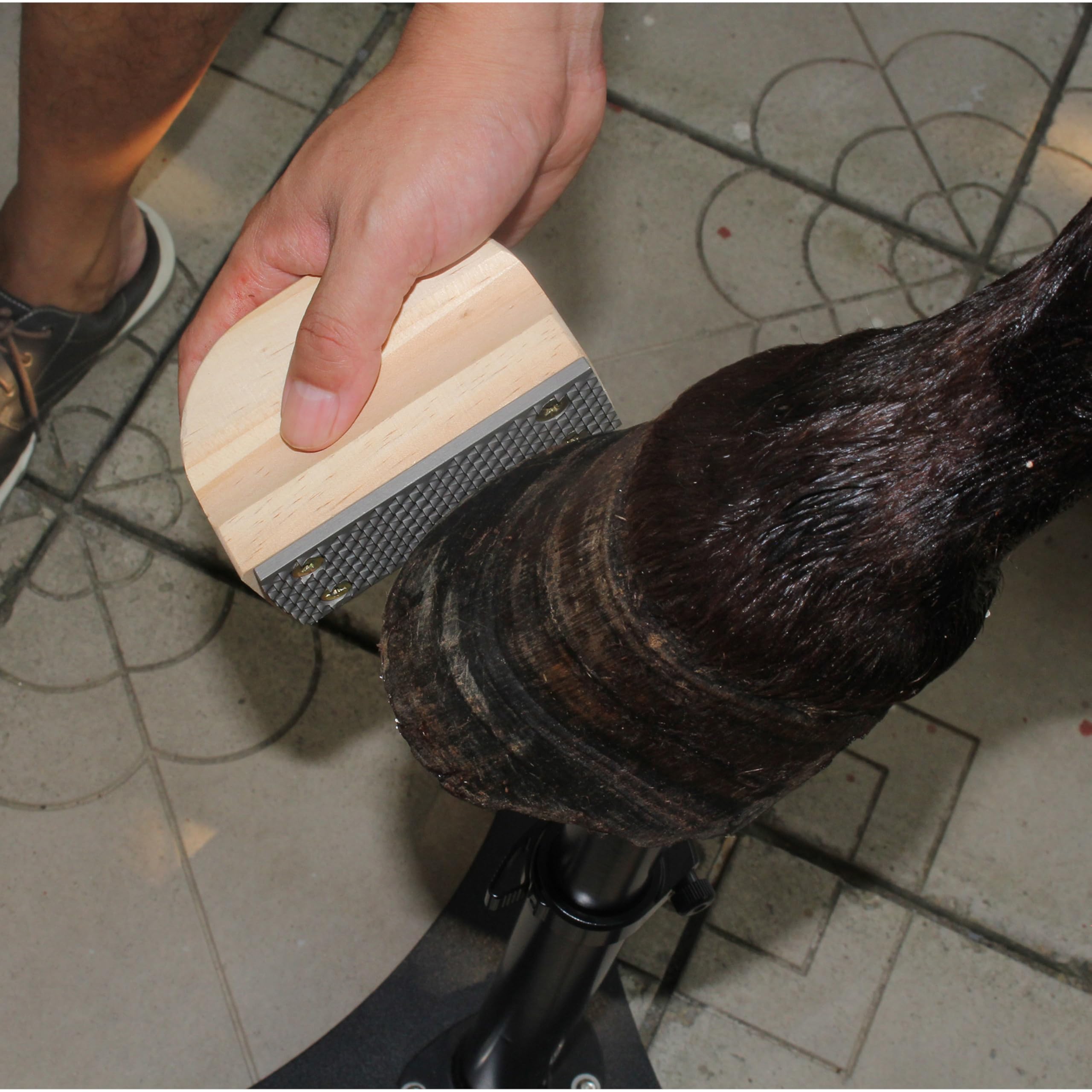 Hufbock für Pferde höhenverstellbar, Farrier Hufständer aus Metall mit Gusseisenfuß, Stabiler Hufstand für Hufpflege bei Pferd