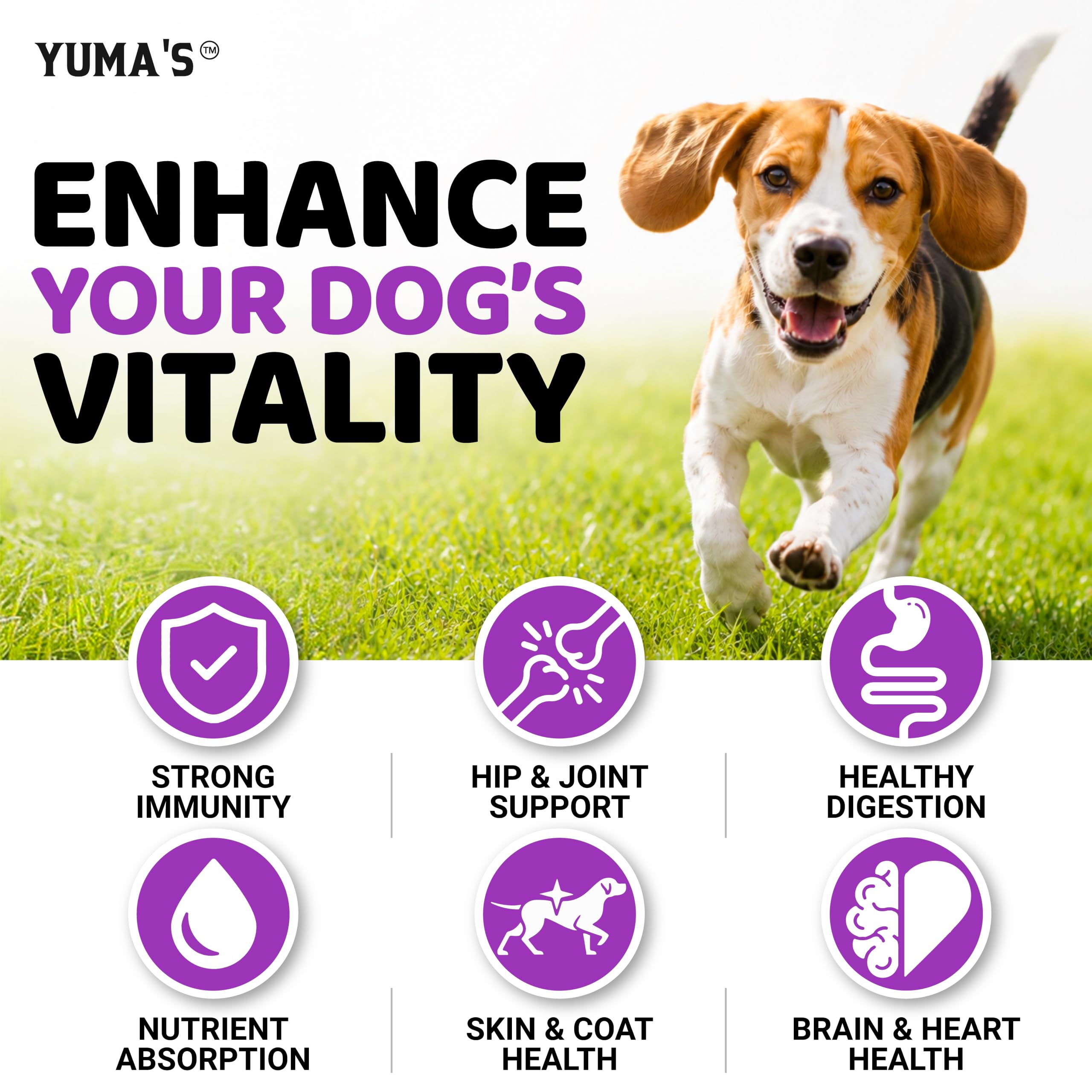 Dog Vitamins and Supplements - 170 Chews - Dog Multivitamin Chewable — Amazon image 6