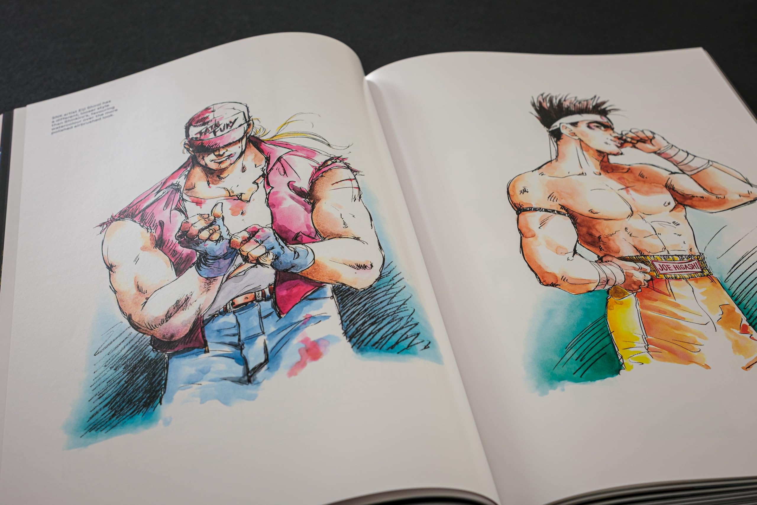 Fatal Fury/Garou Densetsu: The Ultimate History