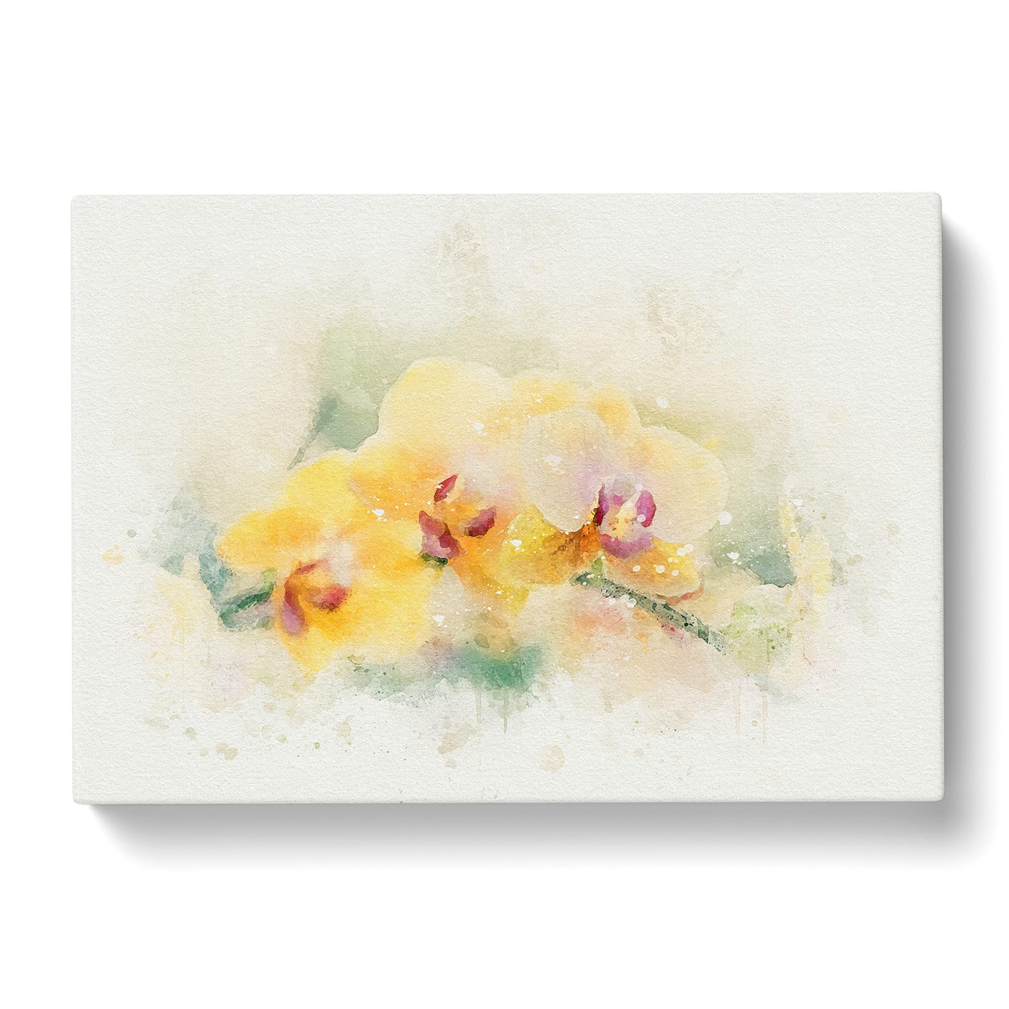 Yellow Orchids Canvas Print, Mixed, 25L x 50W cm - Image 3