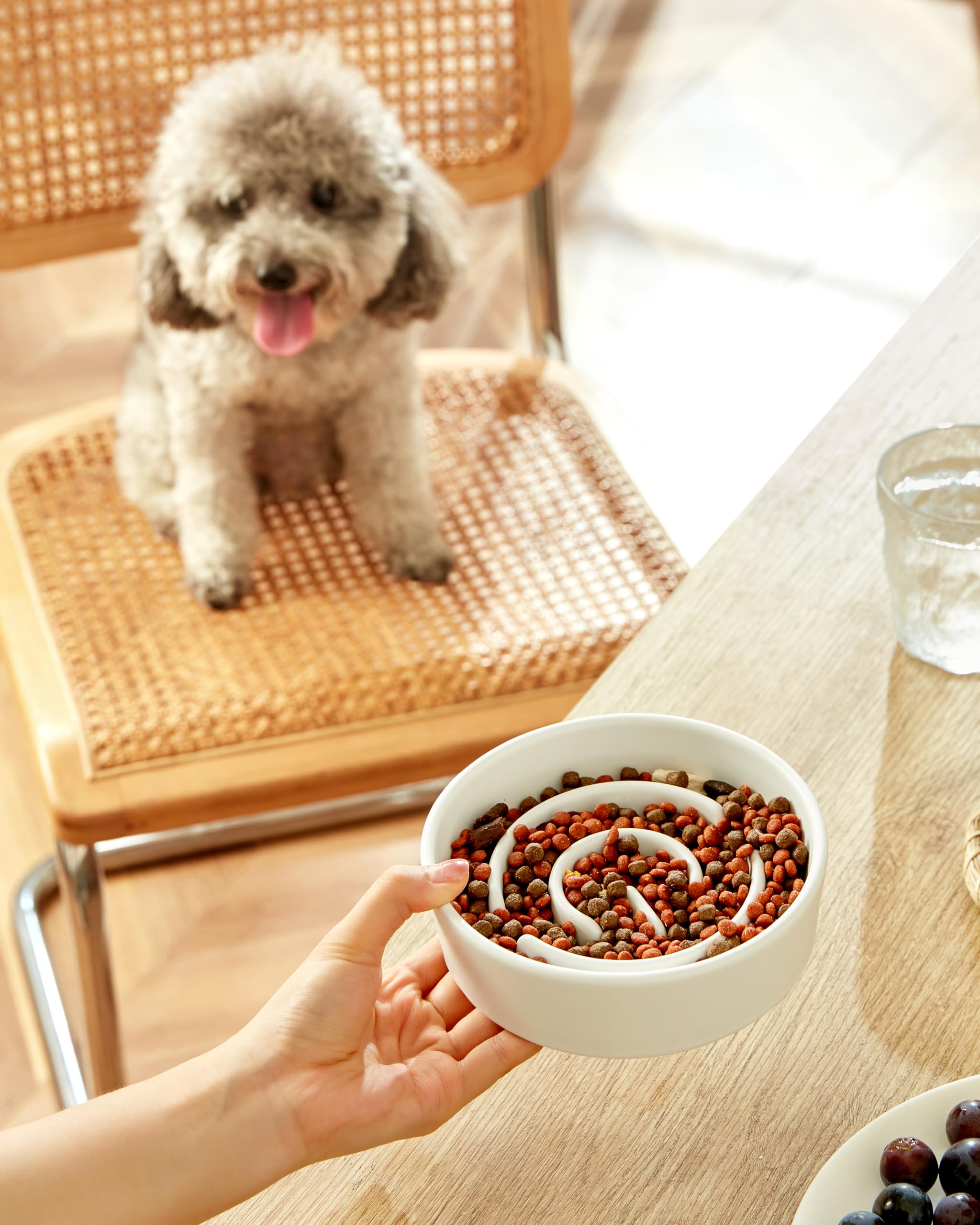 Comedero Perro Antivoracidad de Cerámica, Comedero para Perros (Blanco, 400ml)