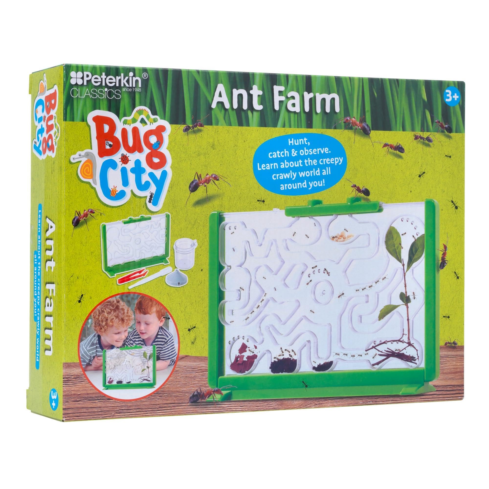 Peterkin Classics | Bug City: Ant Farm - discover, study and observe the amazing behaviour of ants! | Learning & Education | Explorer Toys | Ages 3+