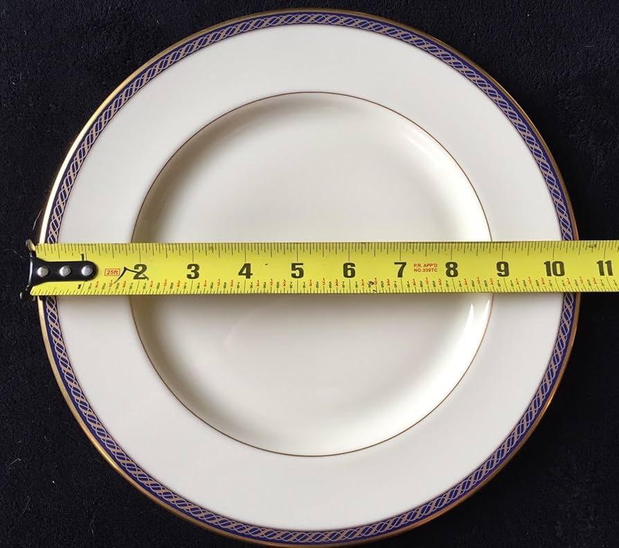 Amazon.com | Lenox Hamilton Dinner Plate: Dinner Plates