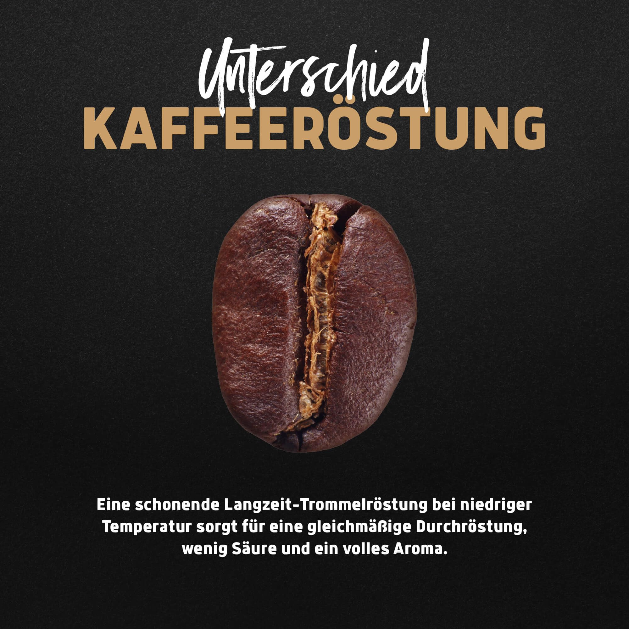 Landpark Bio Kaffee Crema 500g (4er Pack) - 100% Arabica Kaffeebohnen - Medium Roast - Säurearmer Bohnenkaffee - Fair Trade gehandelt