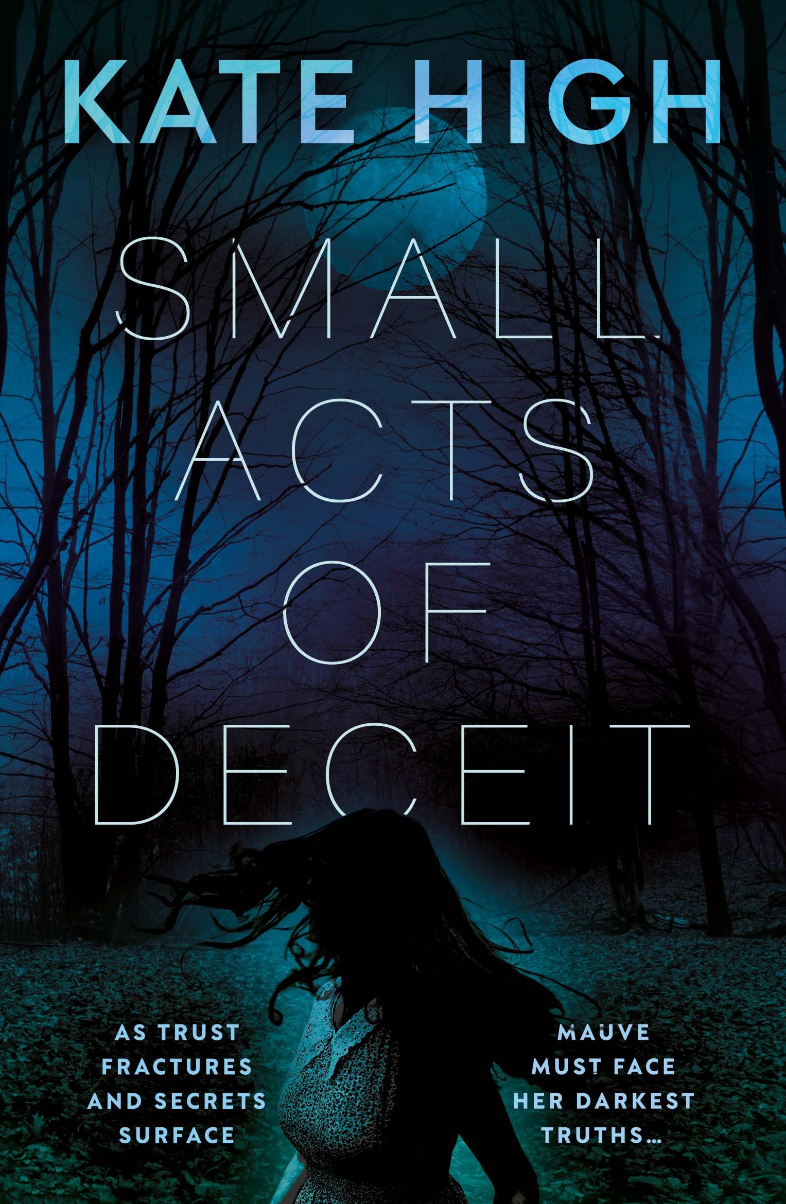 Small Acts of Deceit by Kate High (Paperback Book)