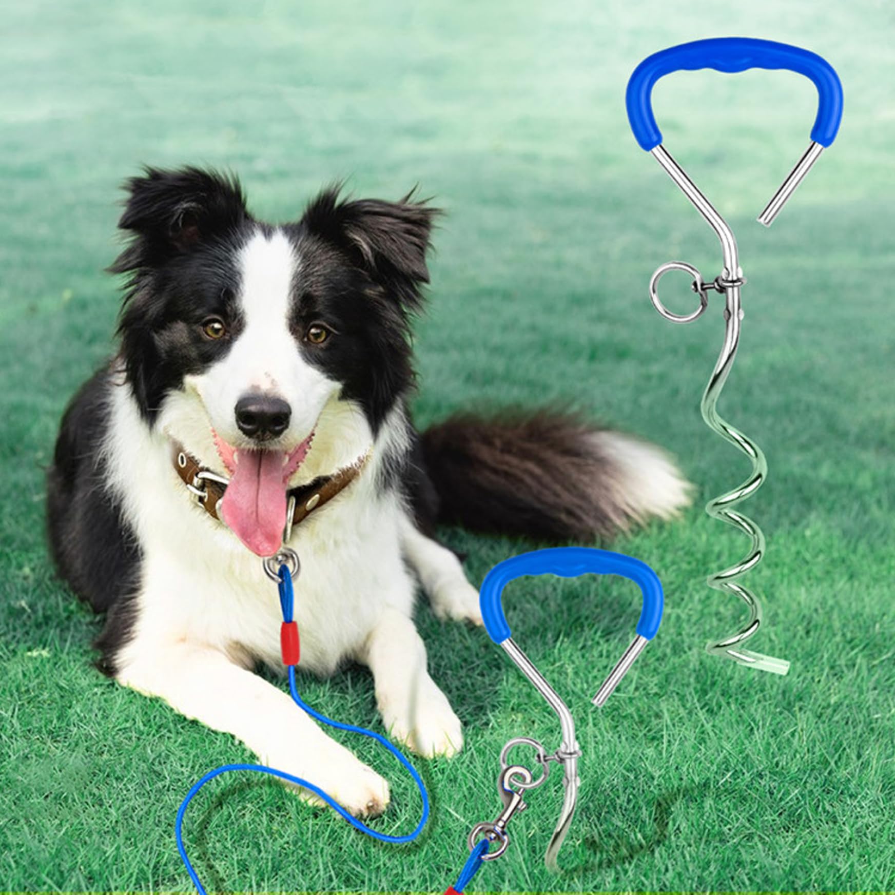 Paletto per legare il cane 16 Pali a spirale acciaio 9 mm carichi pesanti anello girevole