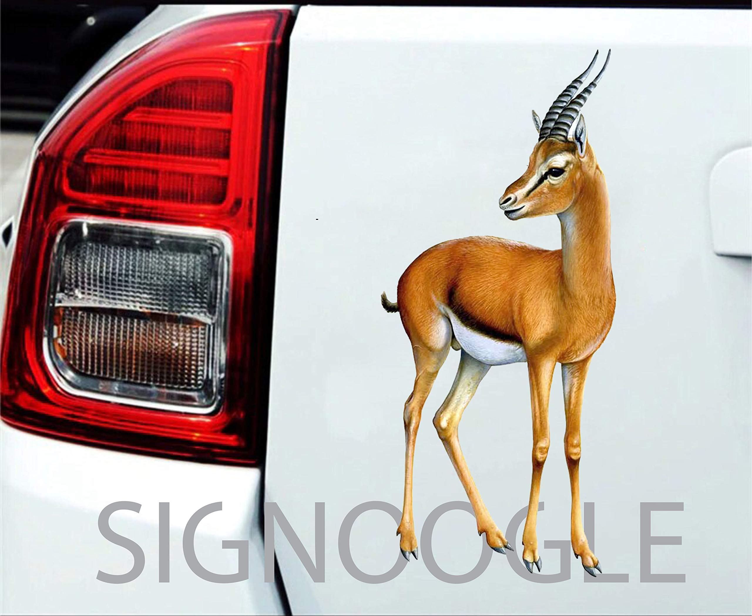 SIGNOOGLE Deer Animal Graphics 3D Sticker for Car and Bike Body Exterior Wall Decal 9 x 20 cm (Pack of 2)