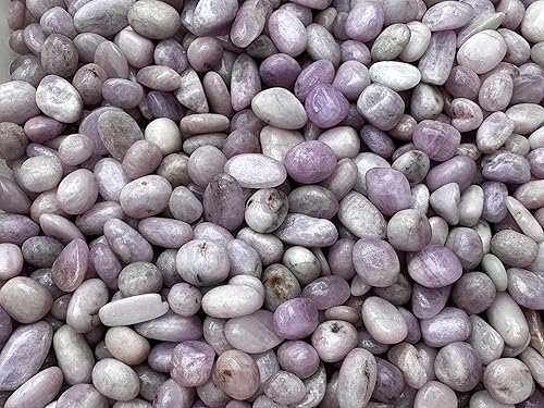 Miniatura 101 de GAF TREASURES Piedras pulidas de ojo de tigre de 1/2 libra, piedra preciosa natural pulida, cristales curativos de ojo de tigre (ojo de tigre)