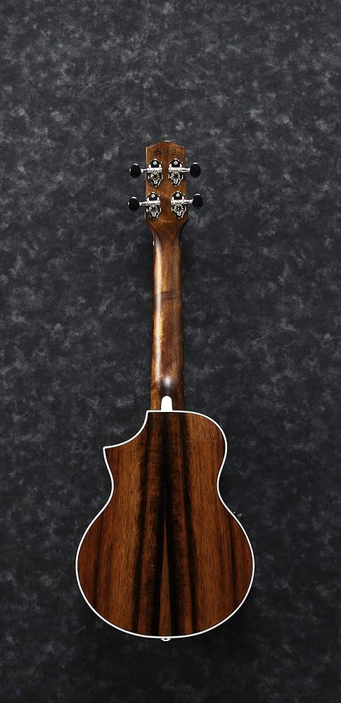 Amazon.co.jp: Ibanez/アイバニーズ コンサート・スタイル