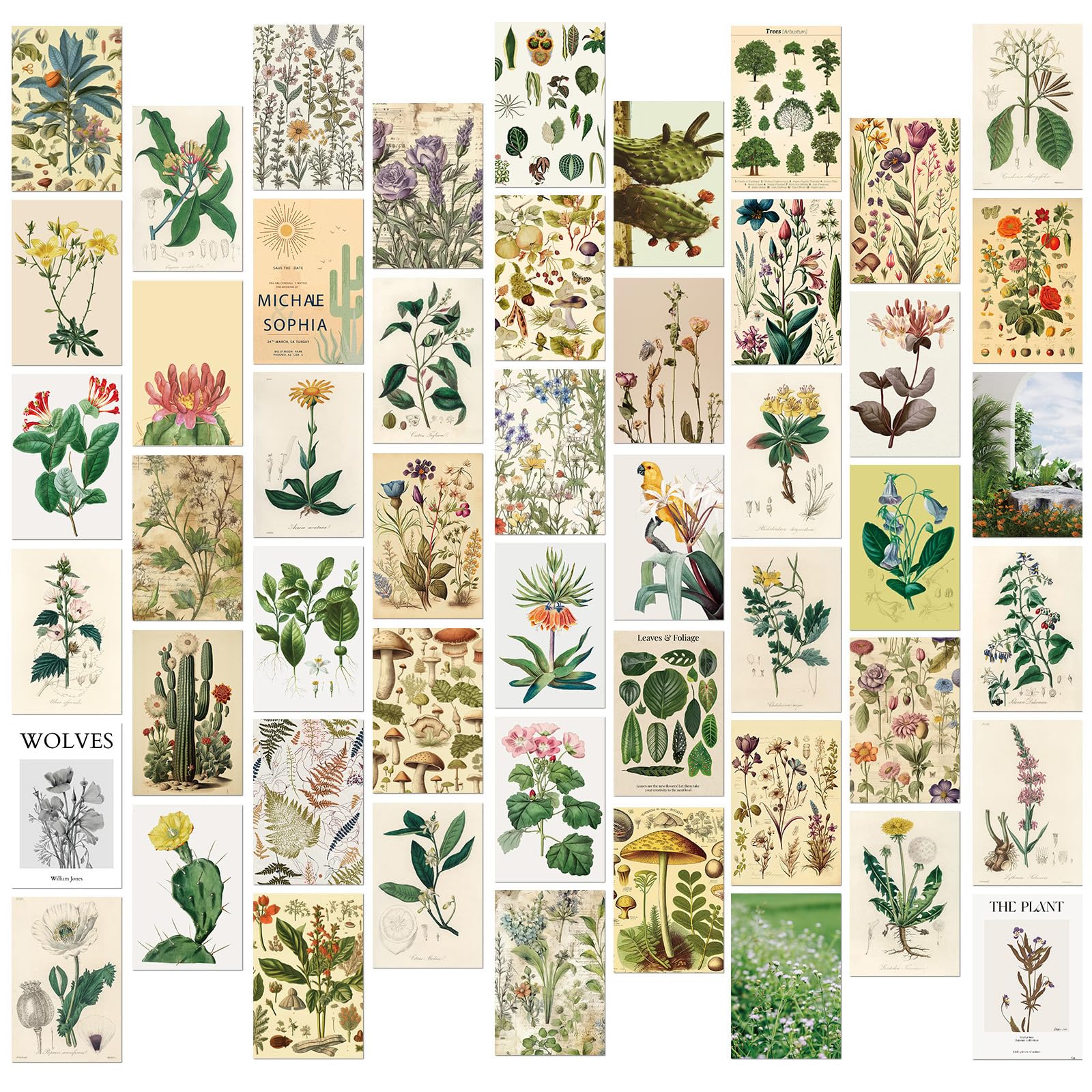 50pcs Vintage Botanical Postcards Floral Posters Cards Wall Art Decoration Post Card Set Retro Greeting Cards Scrapbooking Paper for DIY Craft Home Decor (A)
