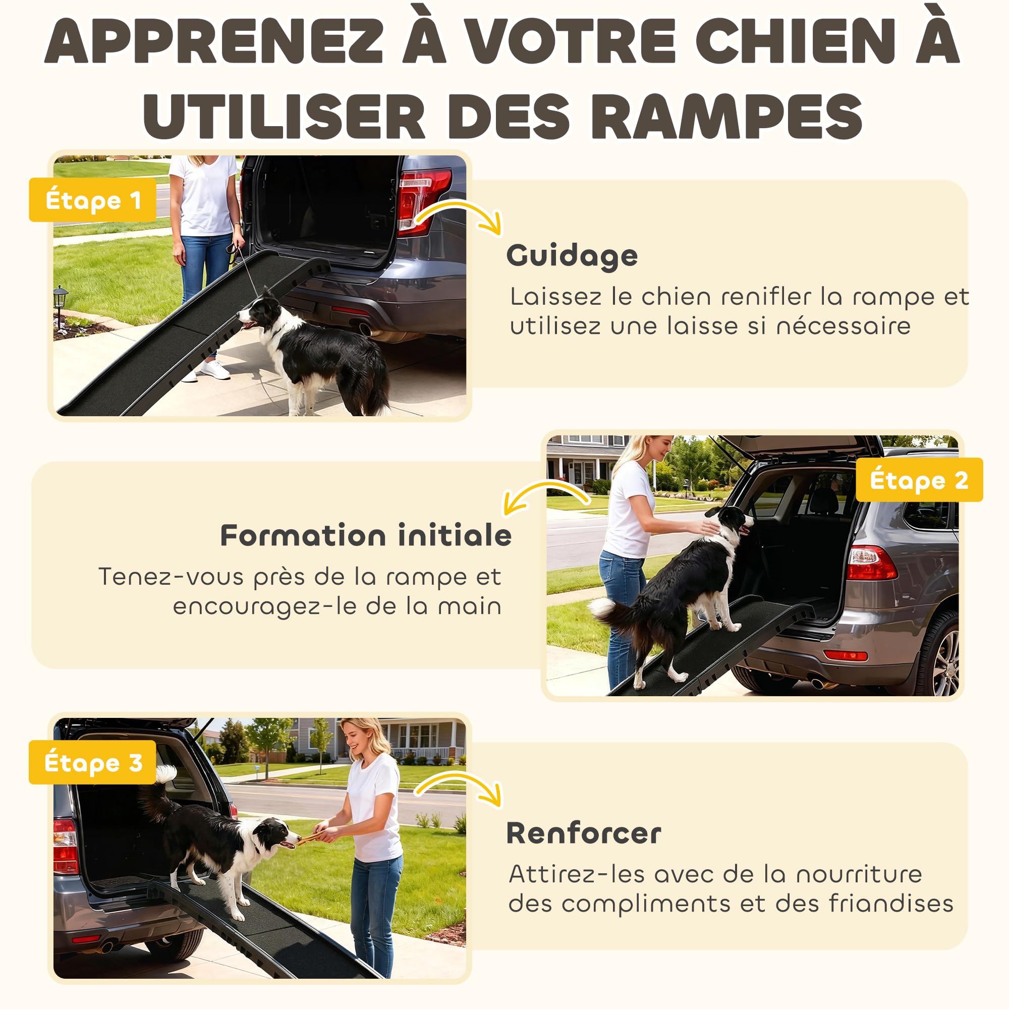 PawHut Rampe Pliable pour Chiens Pente Douce 155 x 38,5 x 15,5 cm Noir