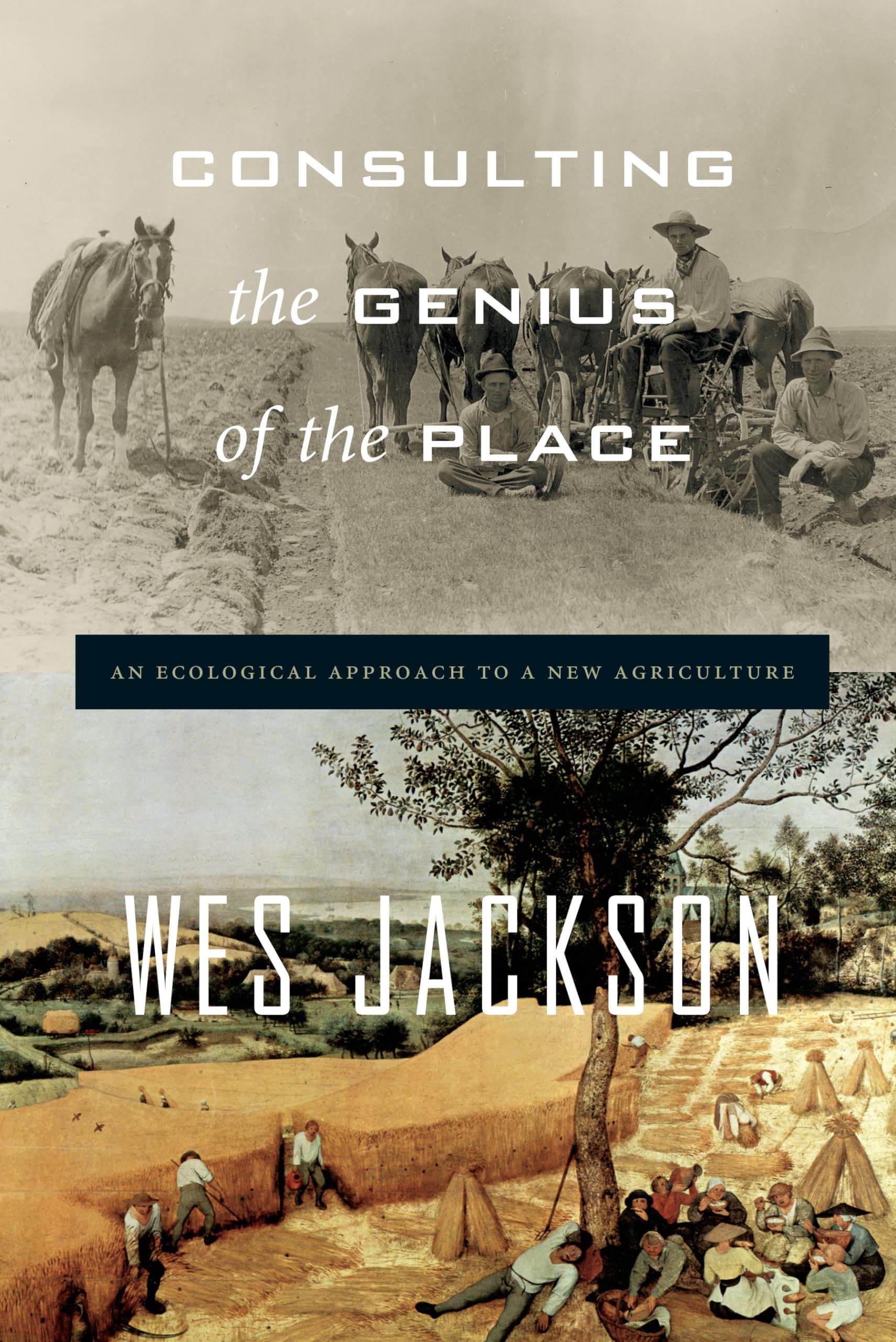 Consulting the Genius of the Place: An Ecological Approach to a New Agriculture