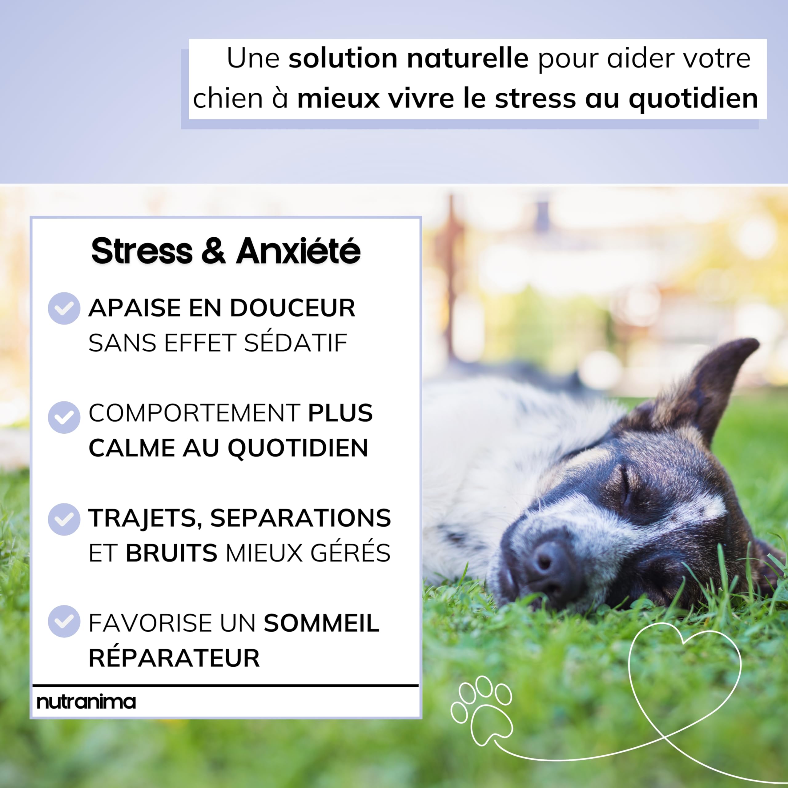 Stress & Ansia Cane | Integratore Lenitivo agli Ingredienti Naturali | 160 Dolcetti Benessere | Sostiene il Comportamento Calmo | Cucciolo, Adulto e Senior | Marca Italiana