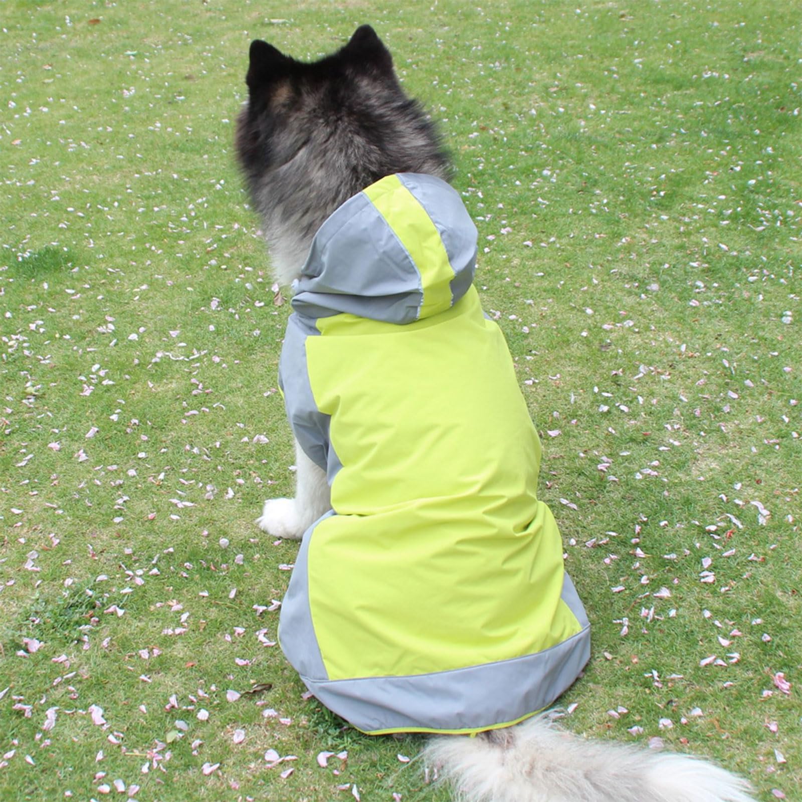 Manteau de Pluie imperméable pour Animaux de Compagnie, imperméable pour Chiens, activités de Plein air, Vestes de Pluie pour Chiens de et Moyenne Taille, vêtements réfléchissants Coupe-Vent en
