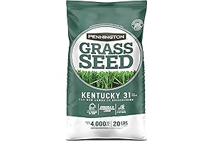Pennington Kentucky 31 Tall Fescue Grass Seed: A Superior Choice for Your Lawn