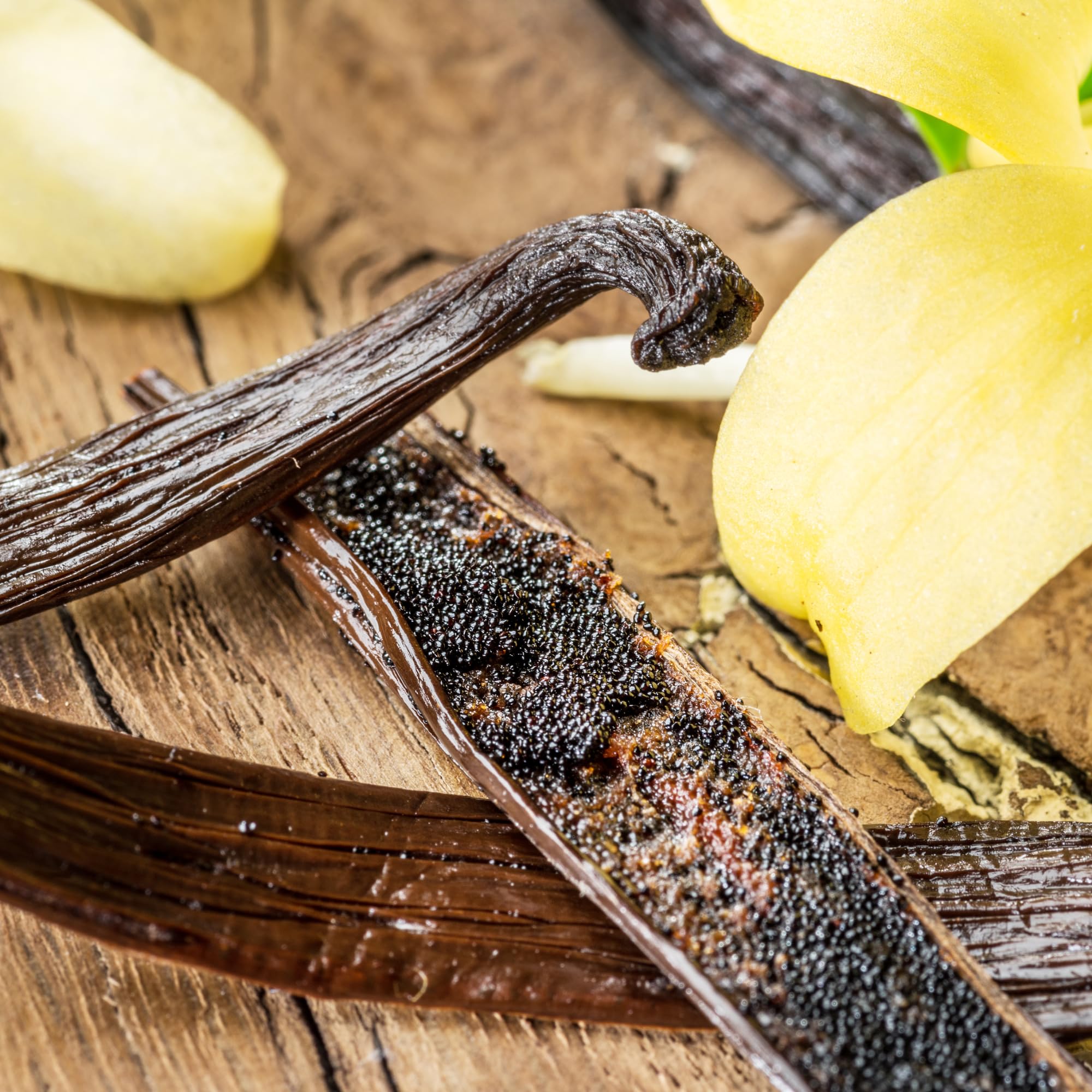 Alpi Nature Ekologiczny Proszek z Wanilii Bourbon 10g, Proszek z Lasek Wanilii z Madagaskaru Klasy A