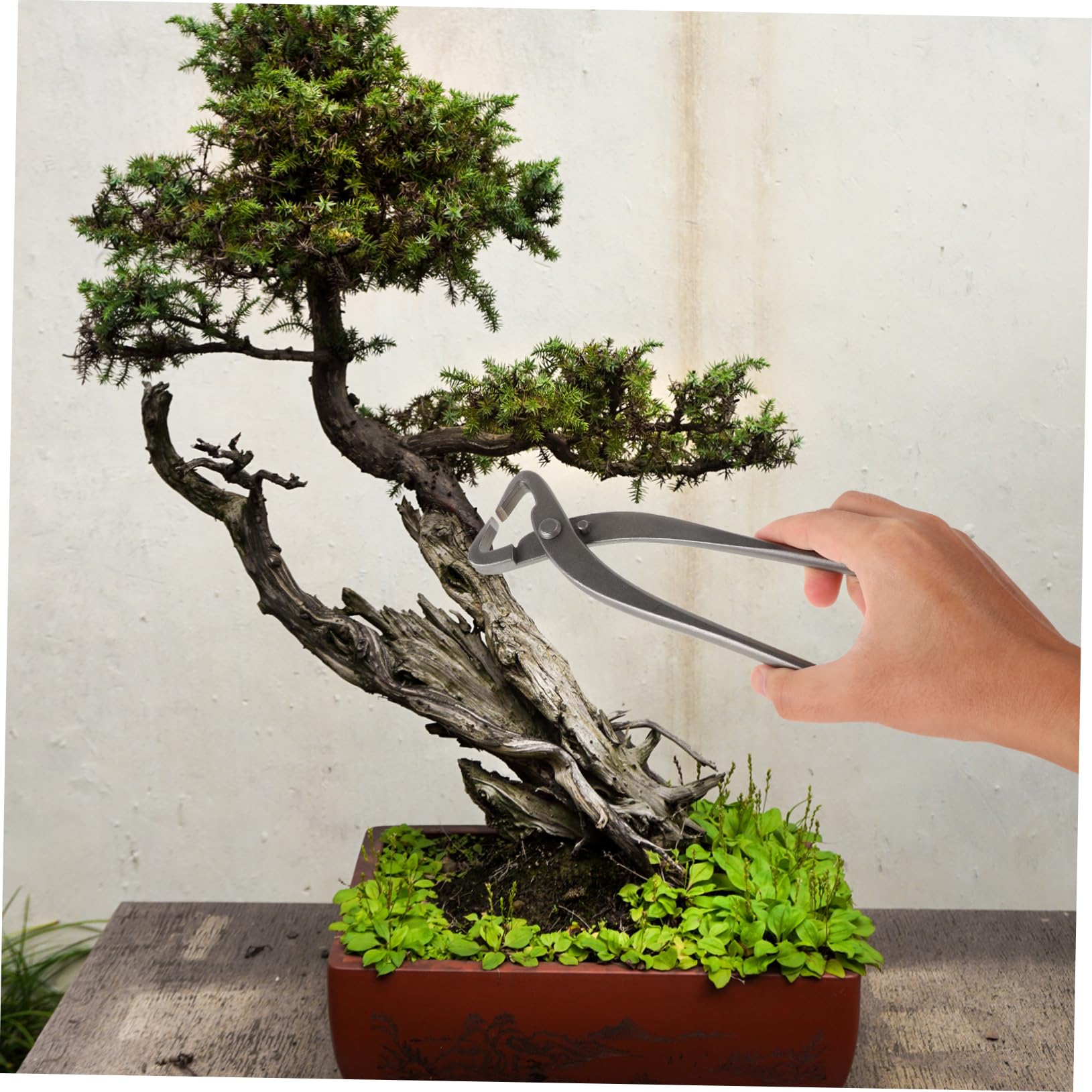 ibasenice per Bonsai Carbonio per Potatura e Strumenti Modellatura per Giapponesi Ergonomici e Facili per La Dettagliata delle Piante