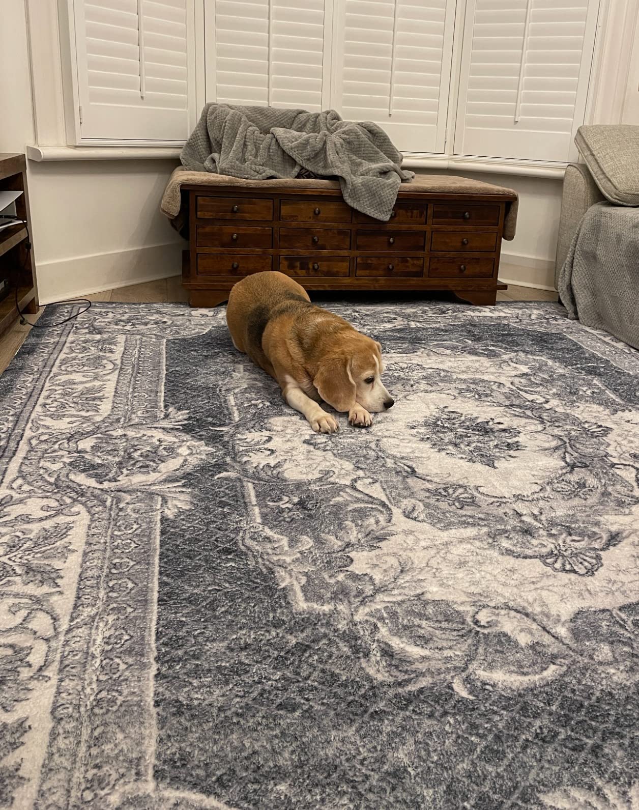 Customer photo