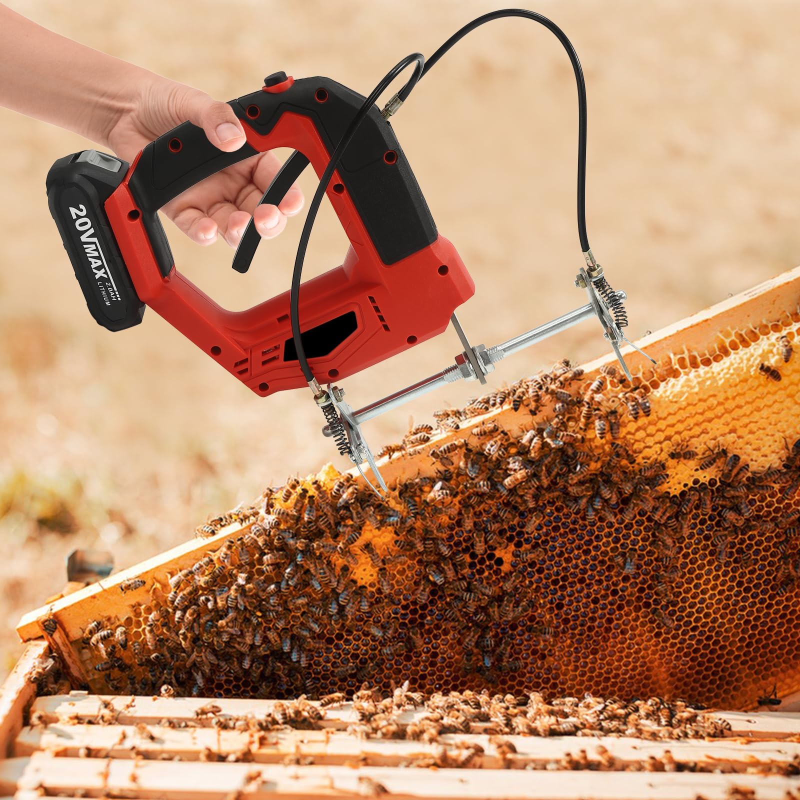 BEE-HIVE フライヤー BEE-HIVE フライヤー