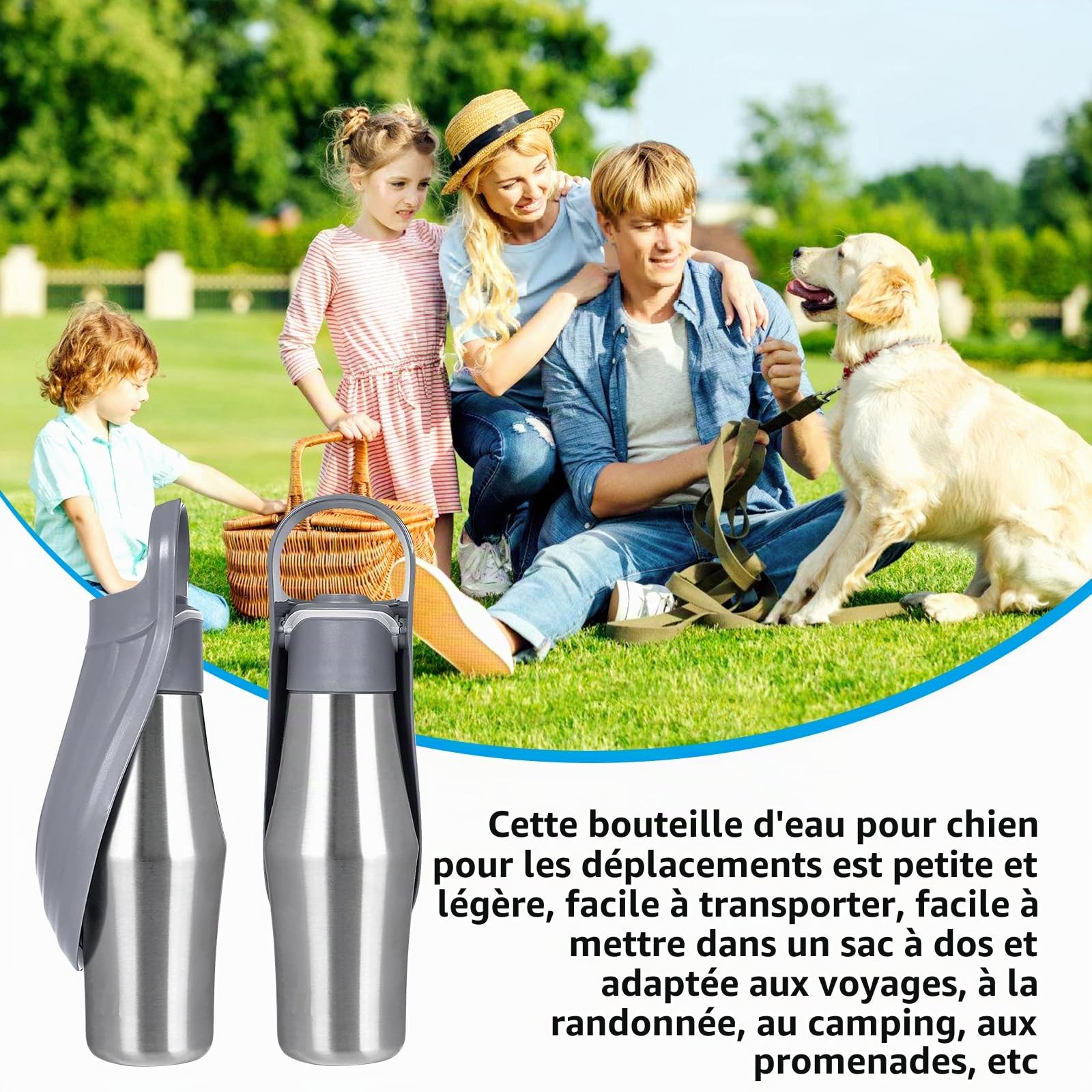 BYZESTY Gourde pour chien, 750 ml, pliable à 180°, portable, en acier inoxydable, gris, pour chien, extérieur